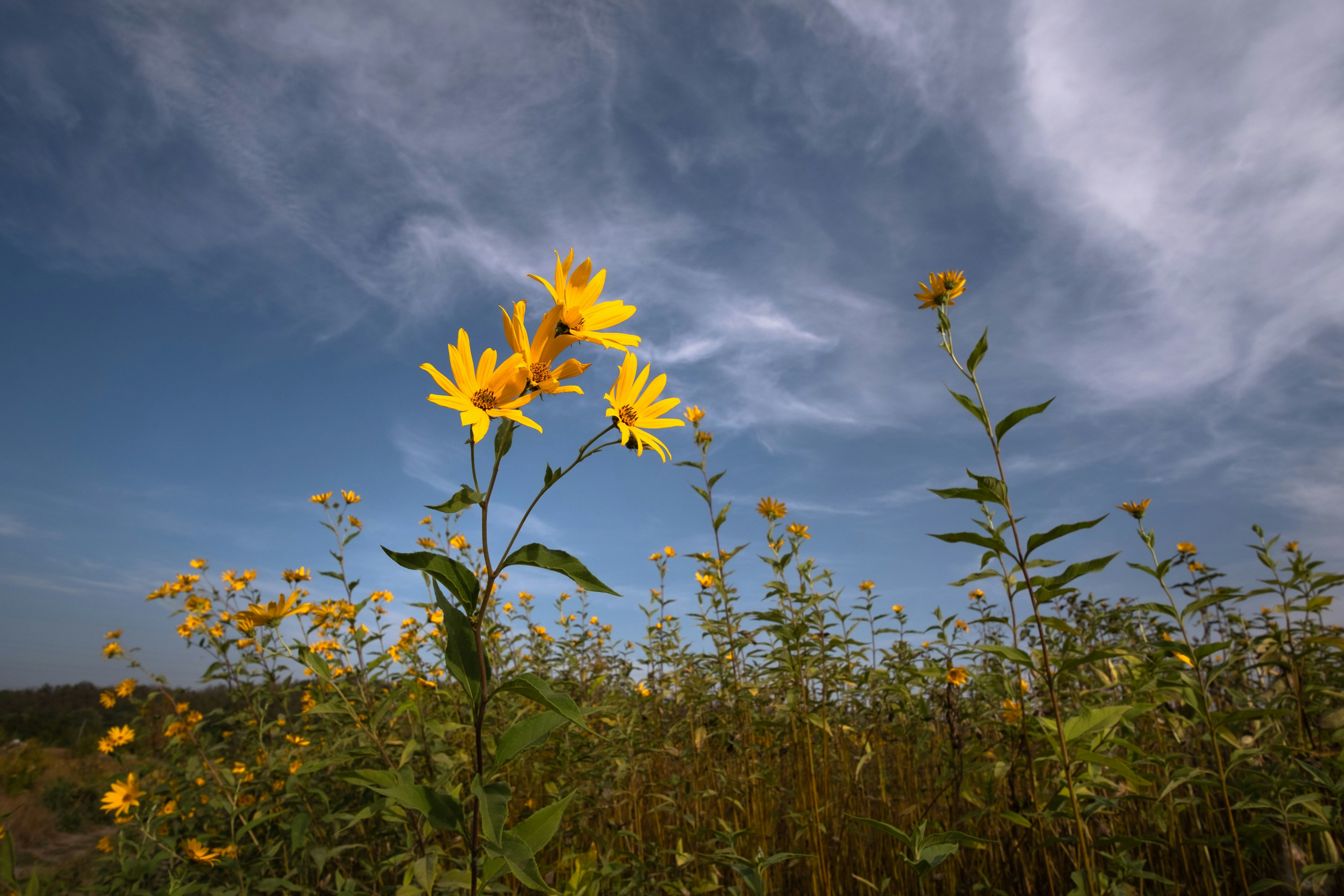 Photo by sevencolors