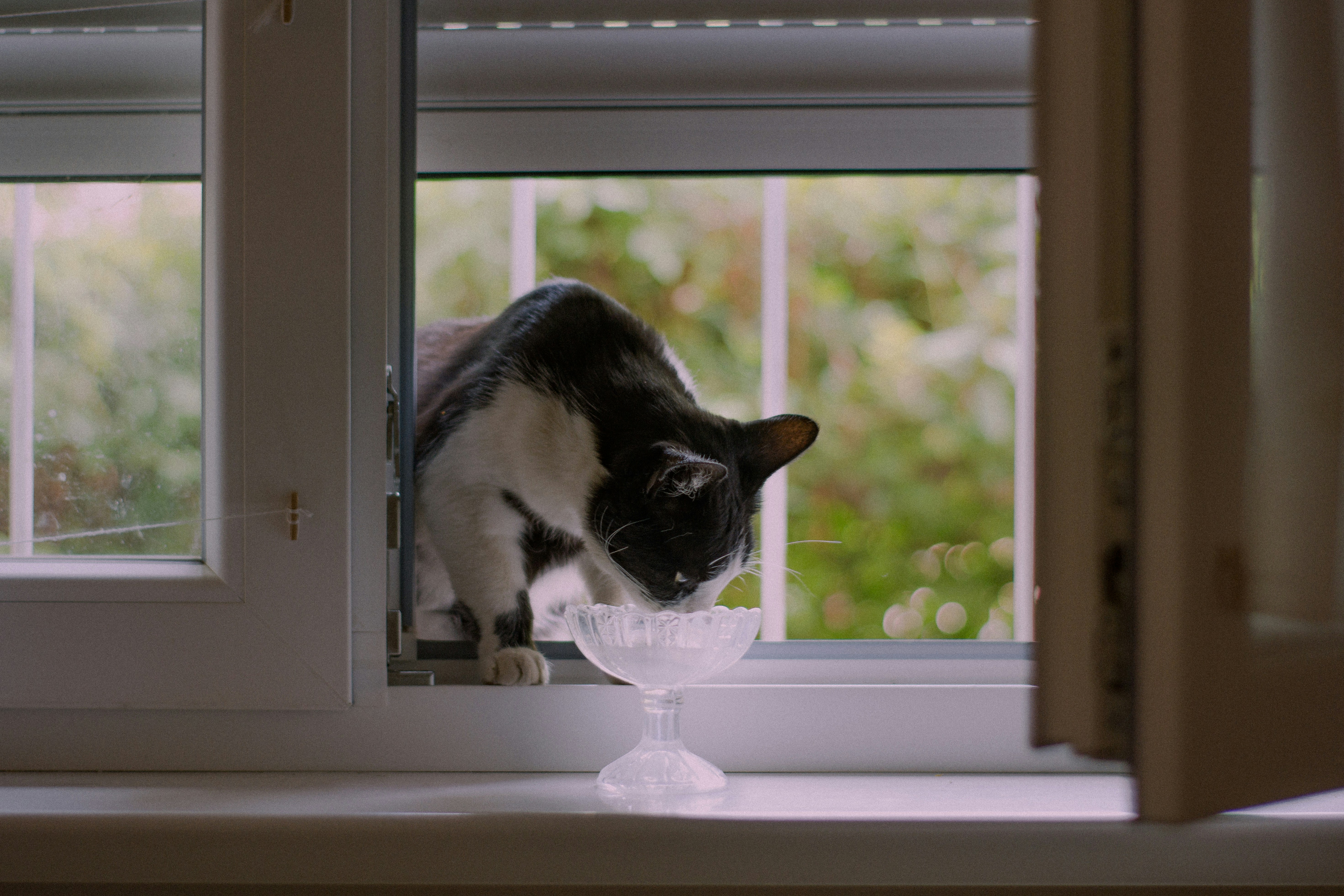 Eating and Drinking Freely in Your Presence (image credits: unsplash)