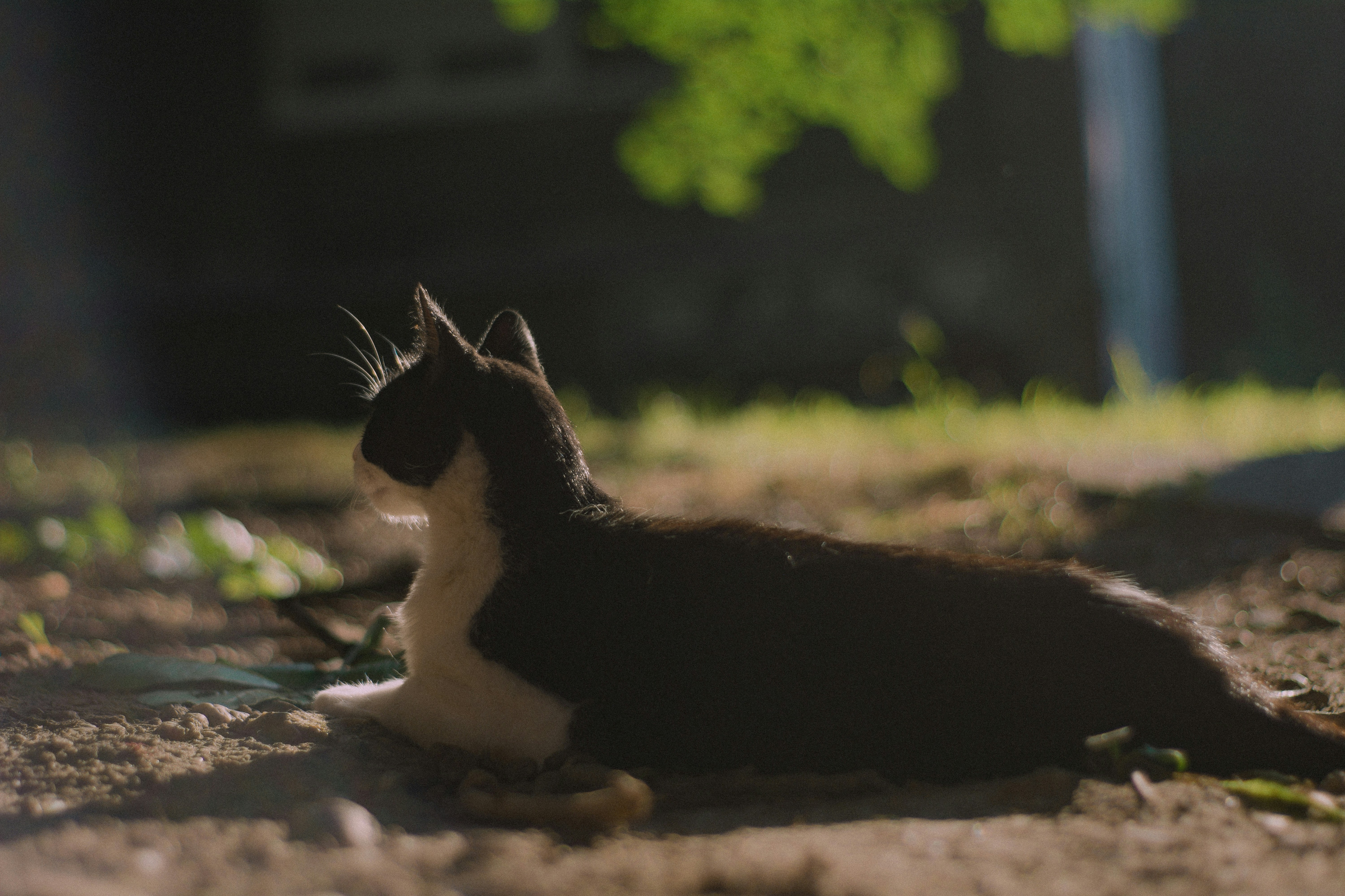 Photo by tanya_cantus