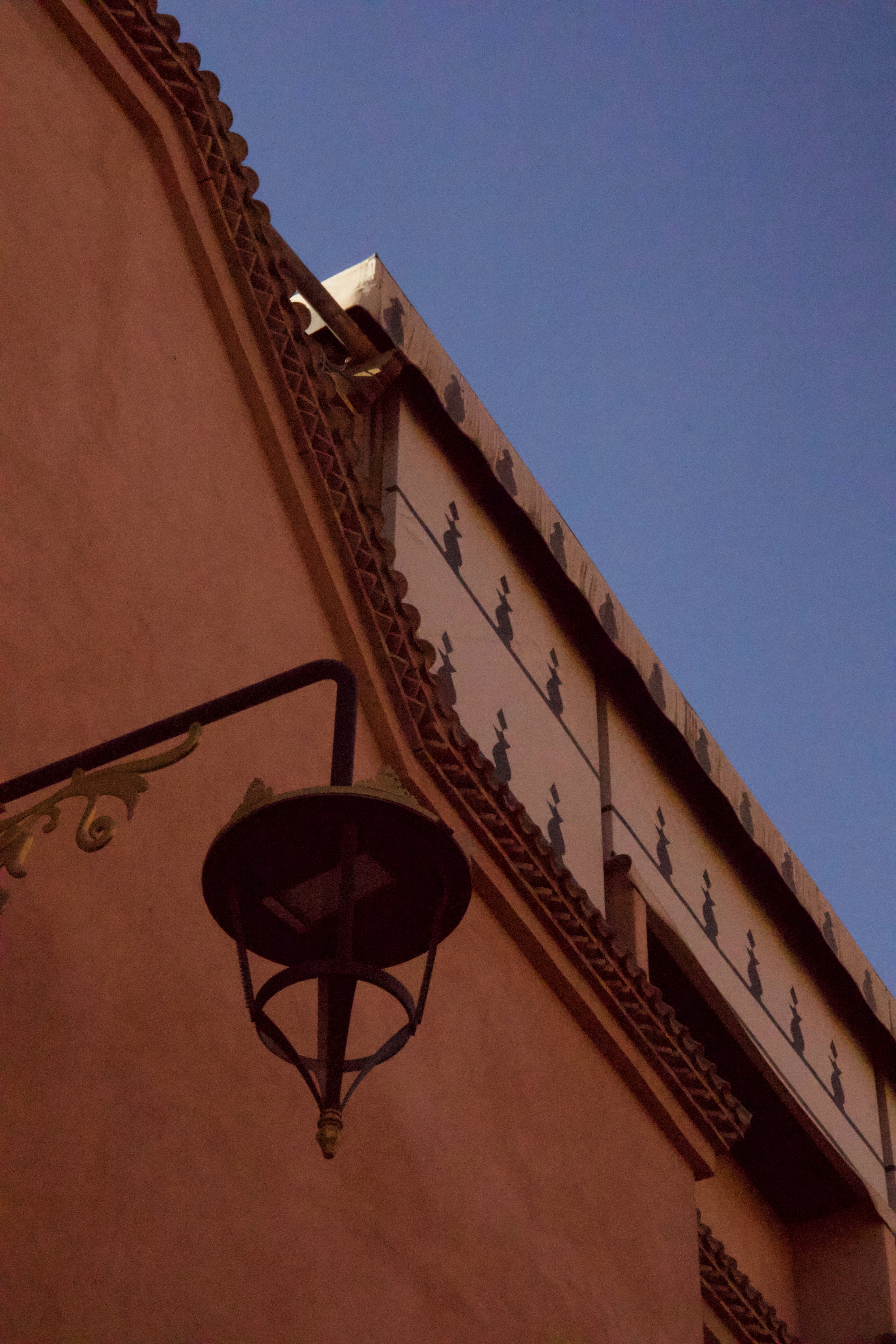 Photo by matteoscanferla