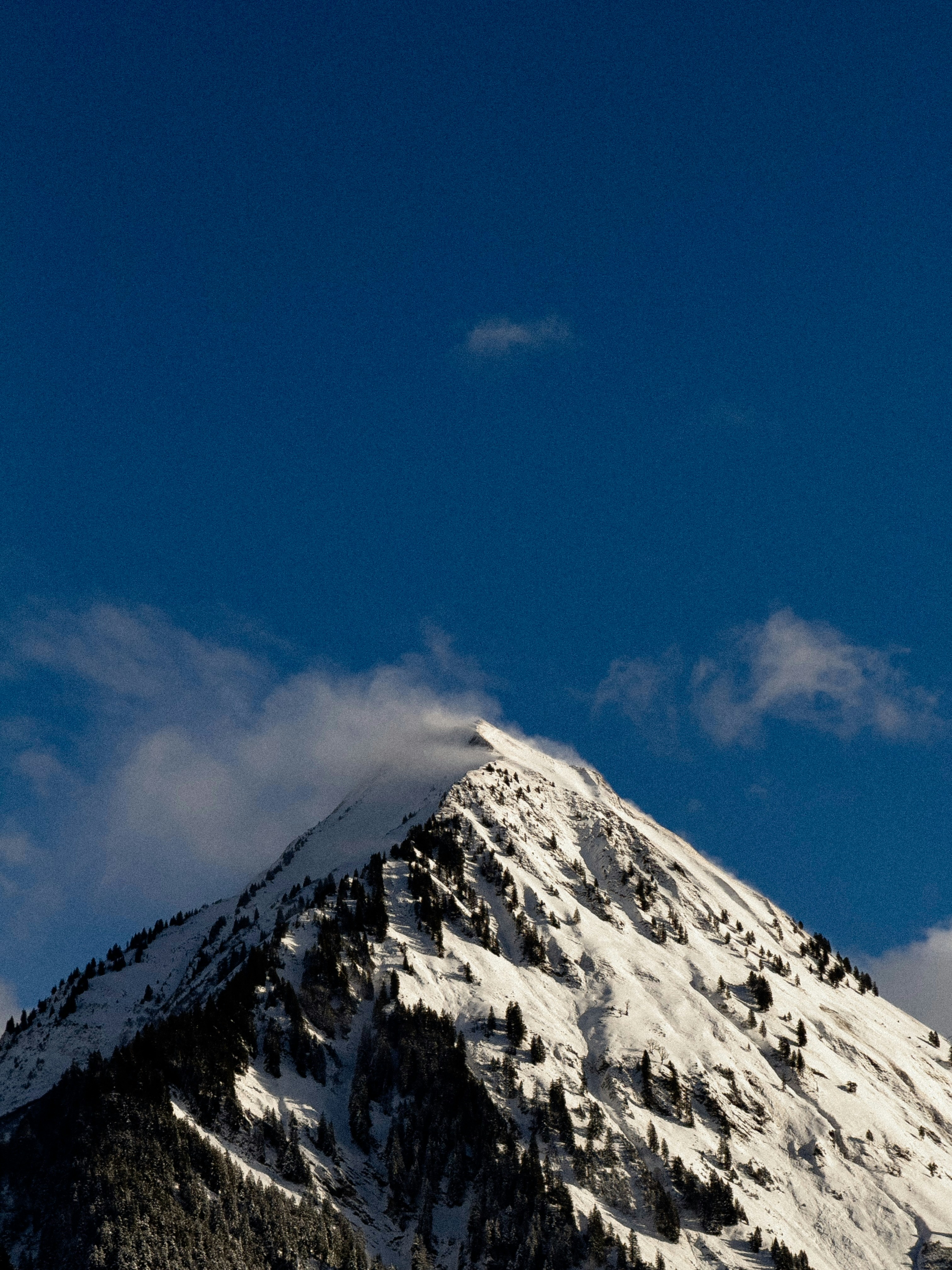 Photo by iloveyoumarijane