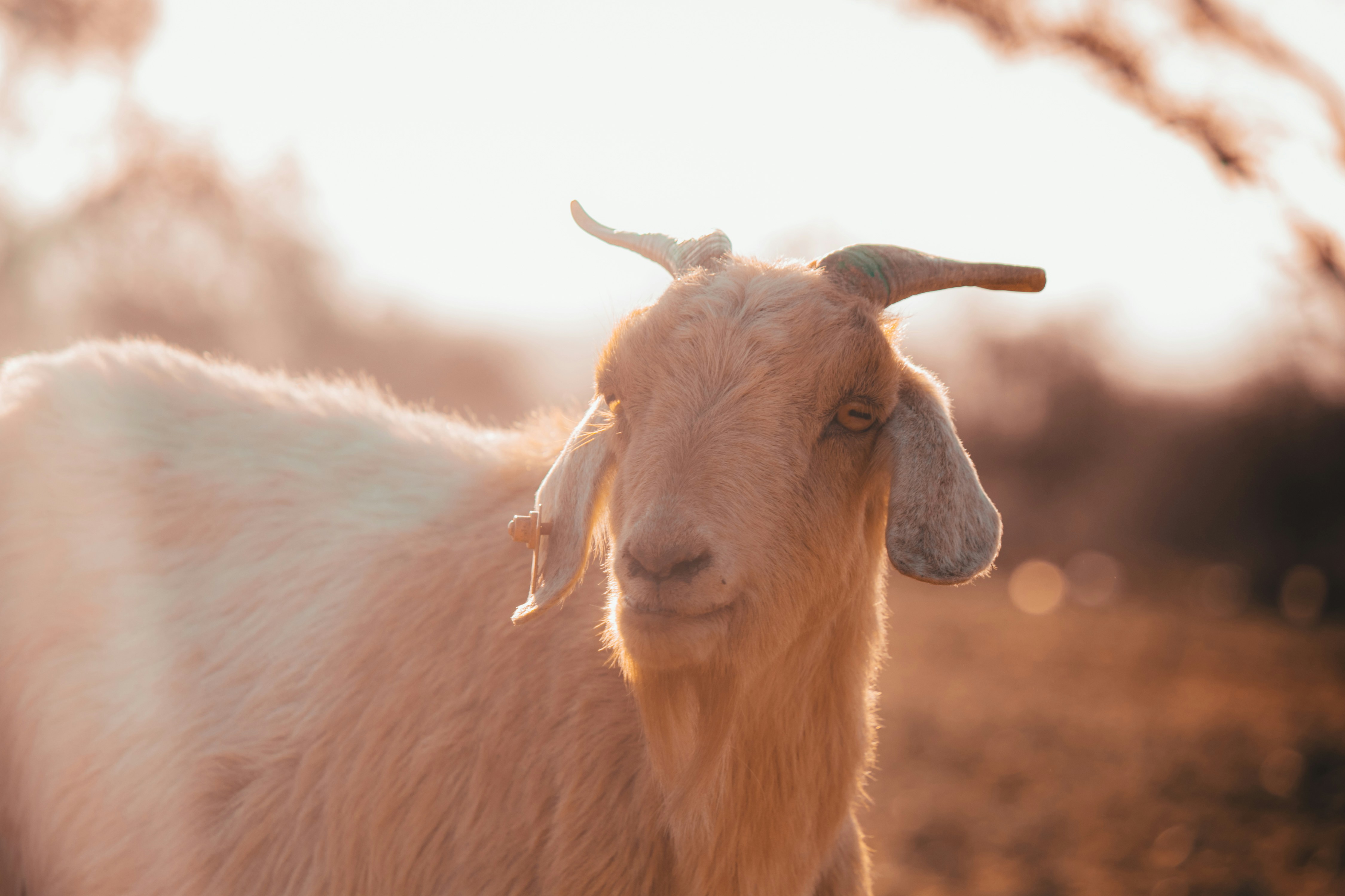 Photo by wlkr_photography