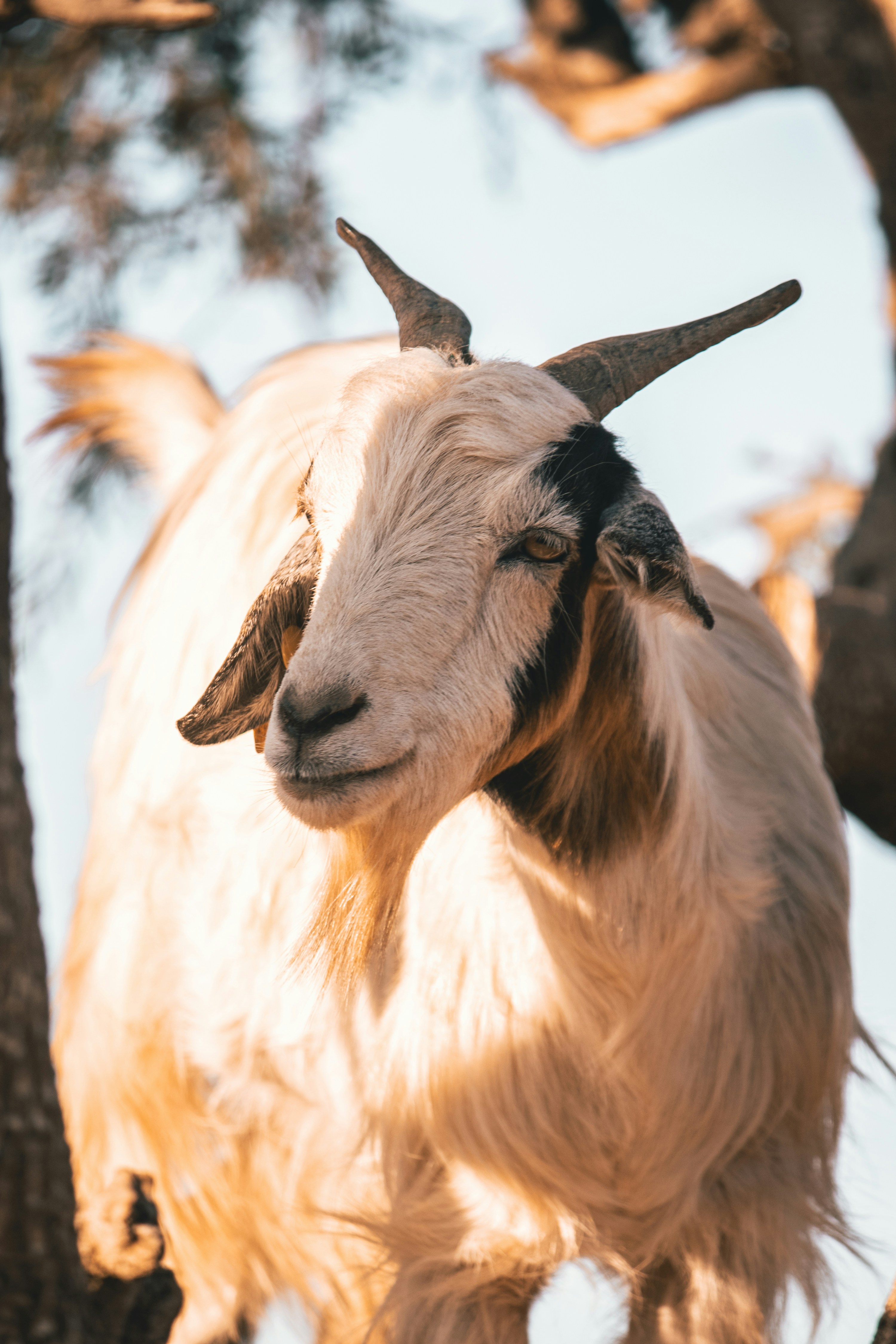 Photo by wlkr_photography