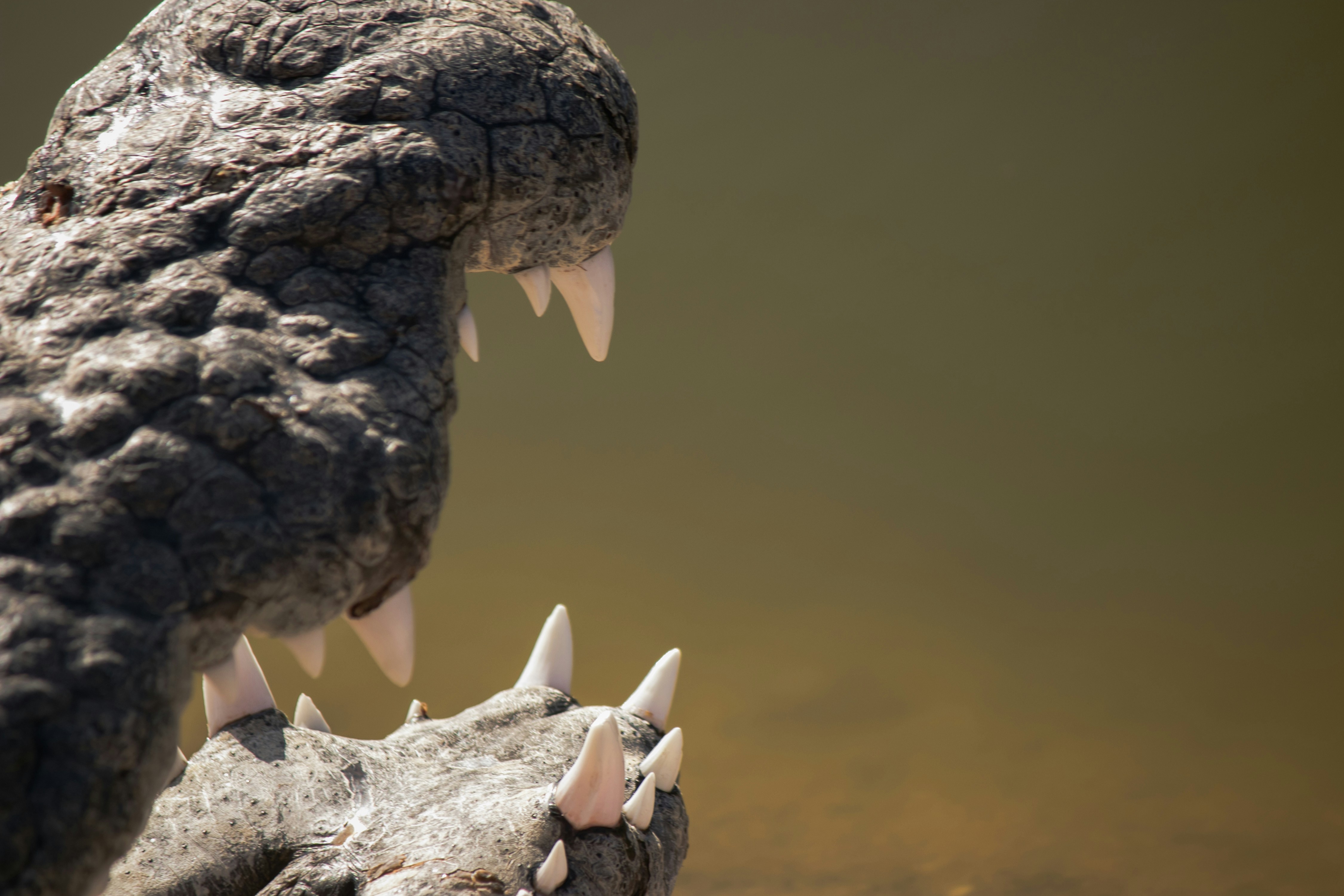 Photo by wlkr_photography