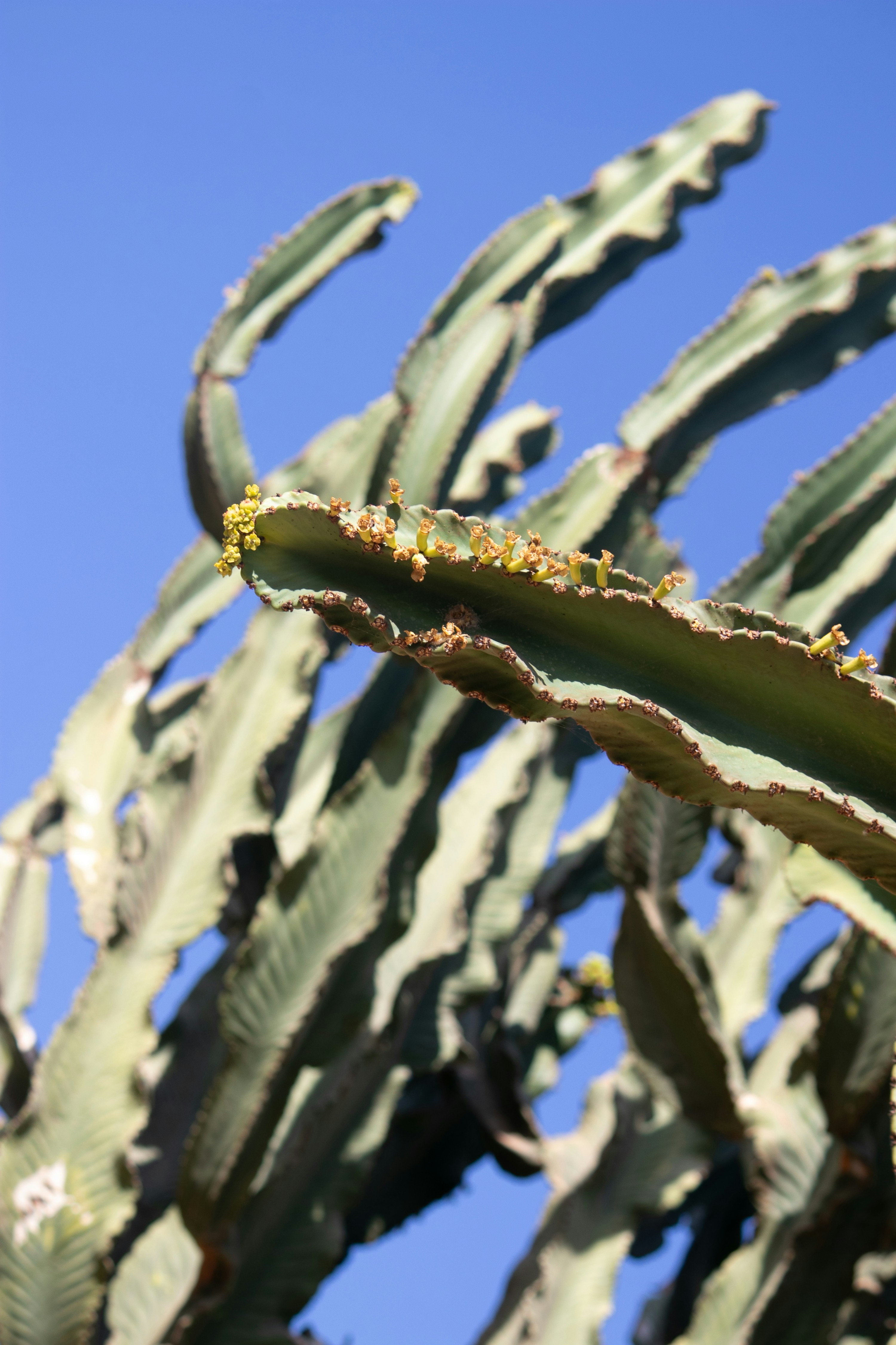 Photo by wlkr_photography