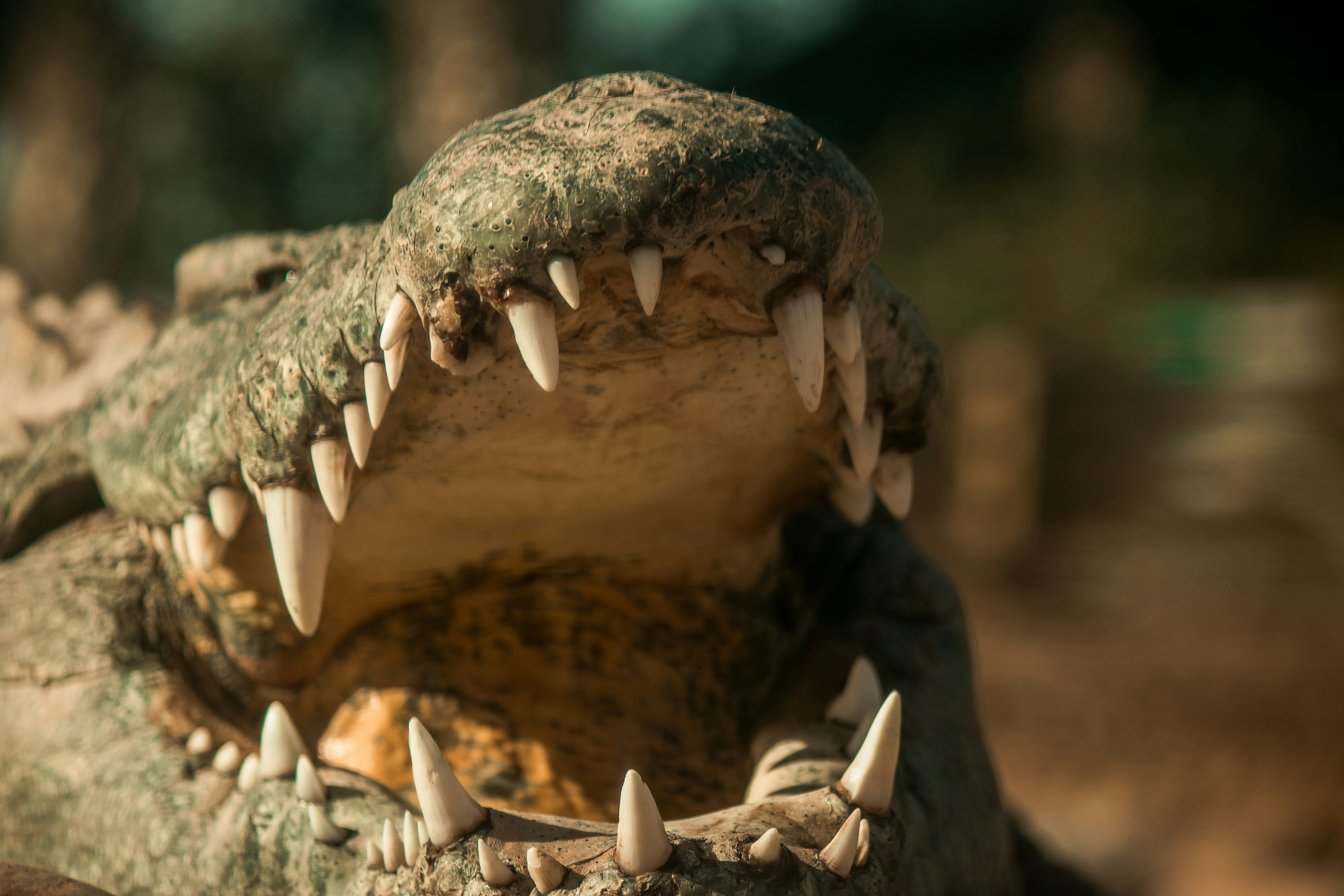 Photo by wlkr_photography