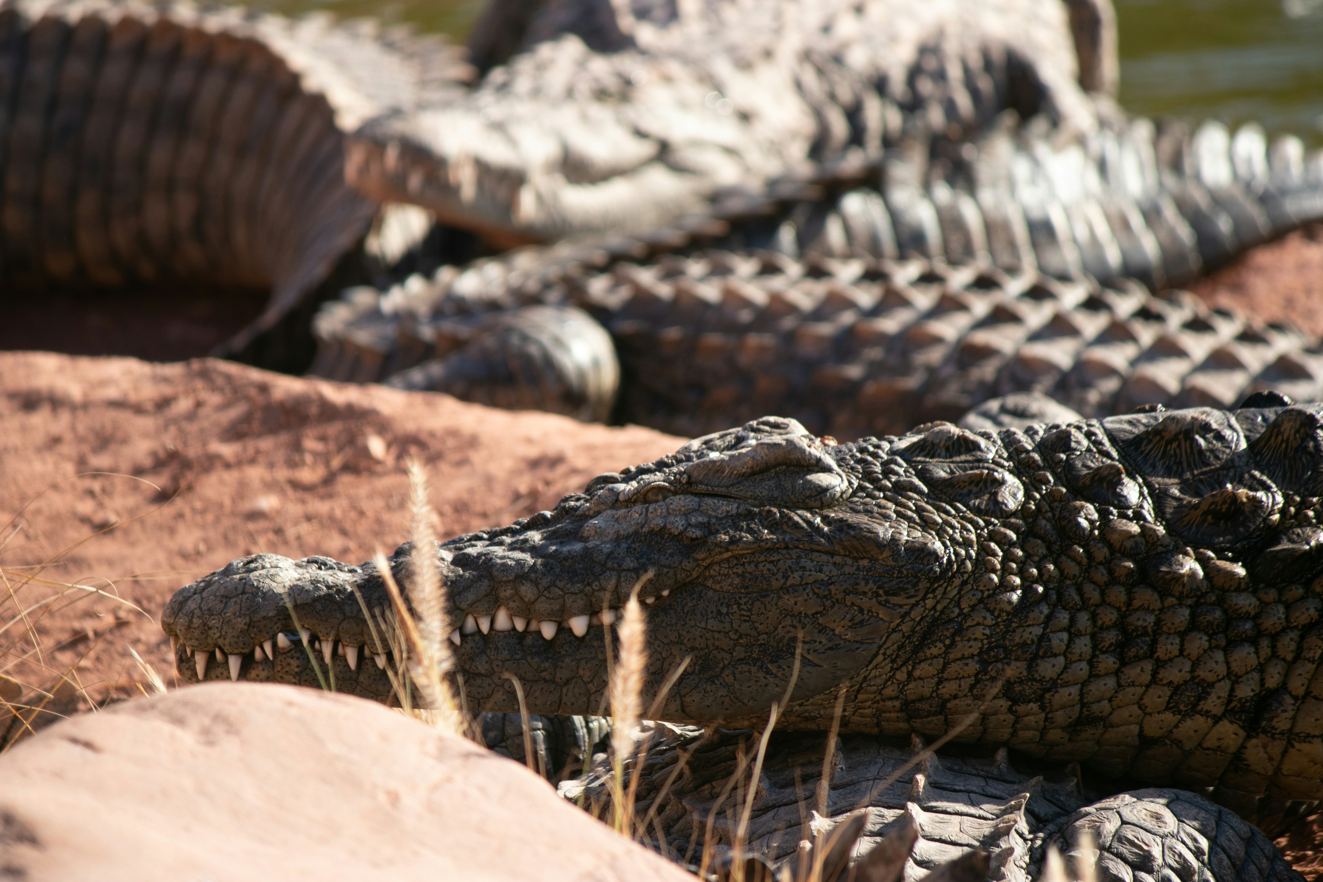 Photo by wlkr_photography