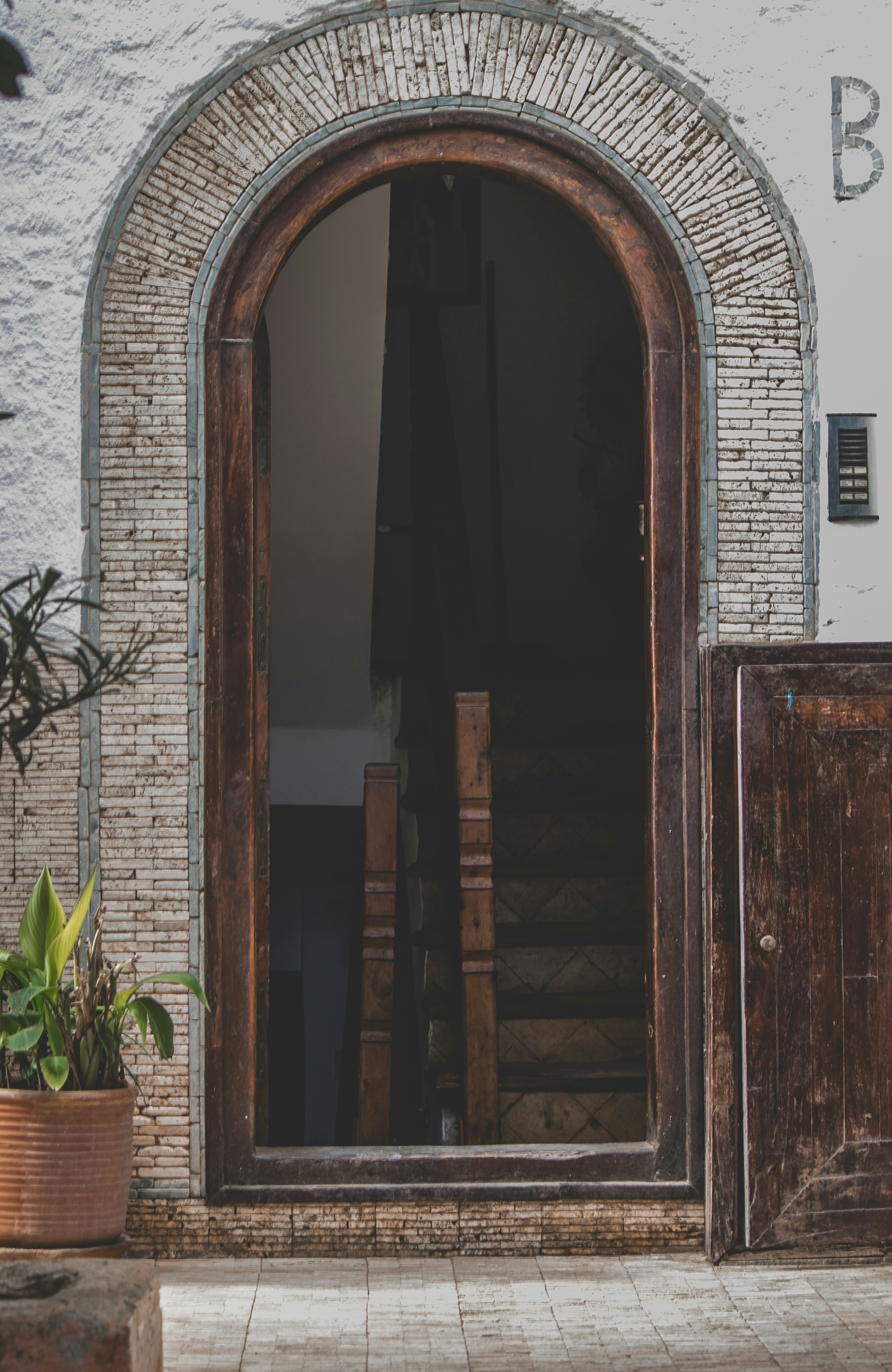 Photo by wlkr_photography