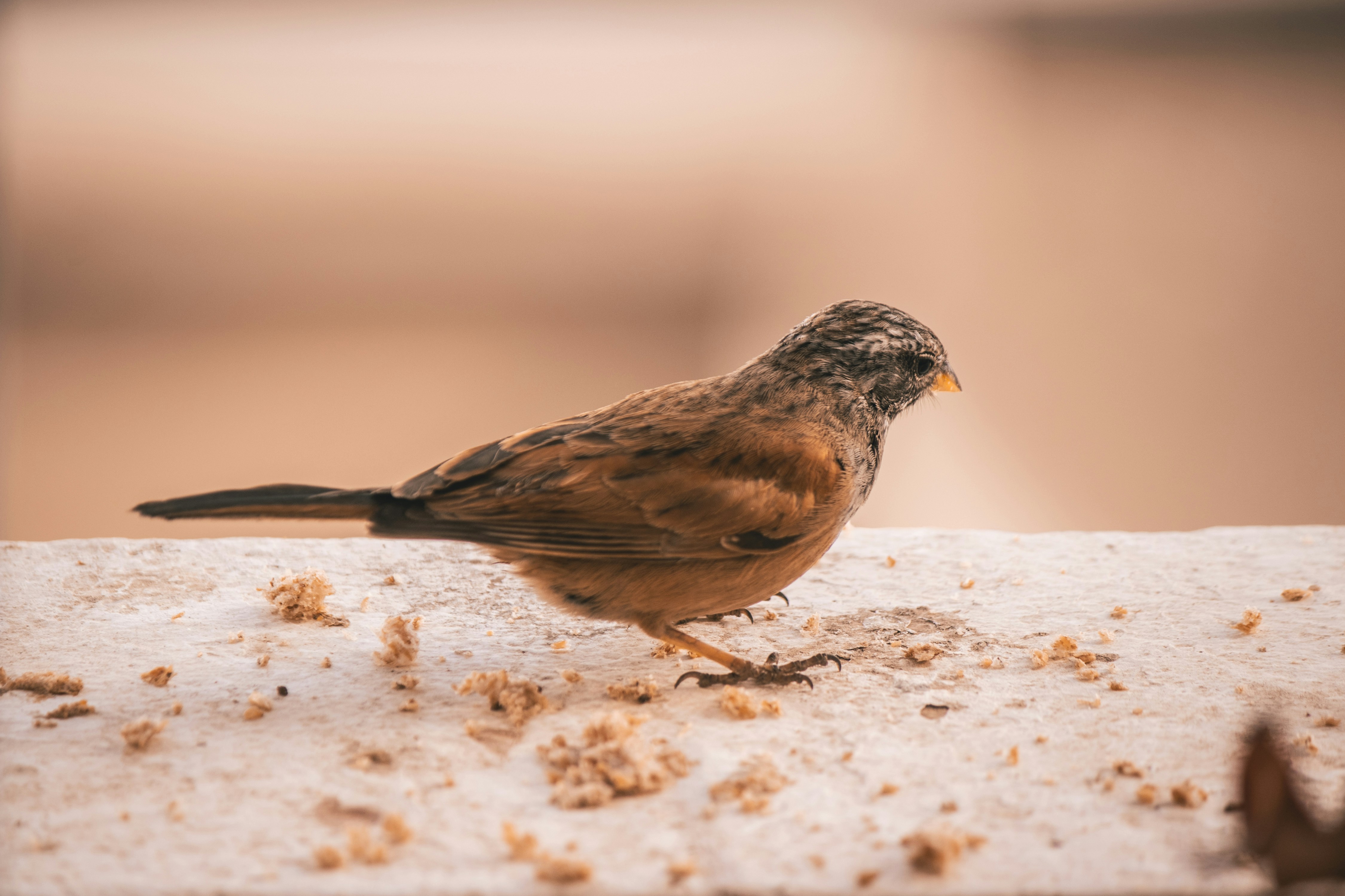 Photo by wlkr_photography