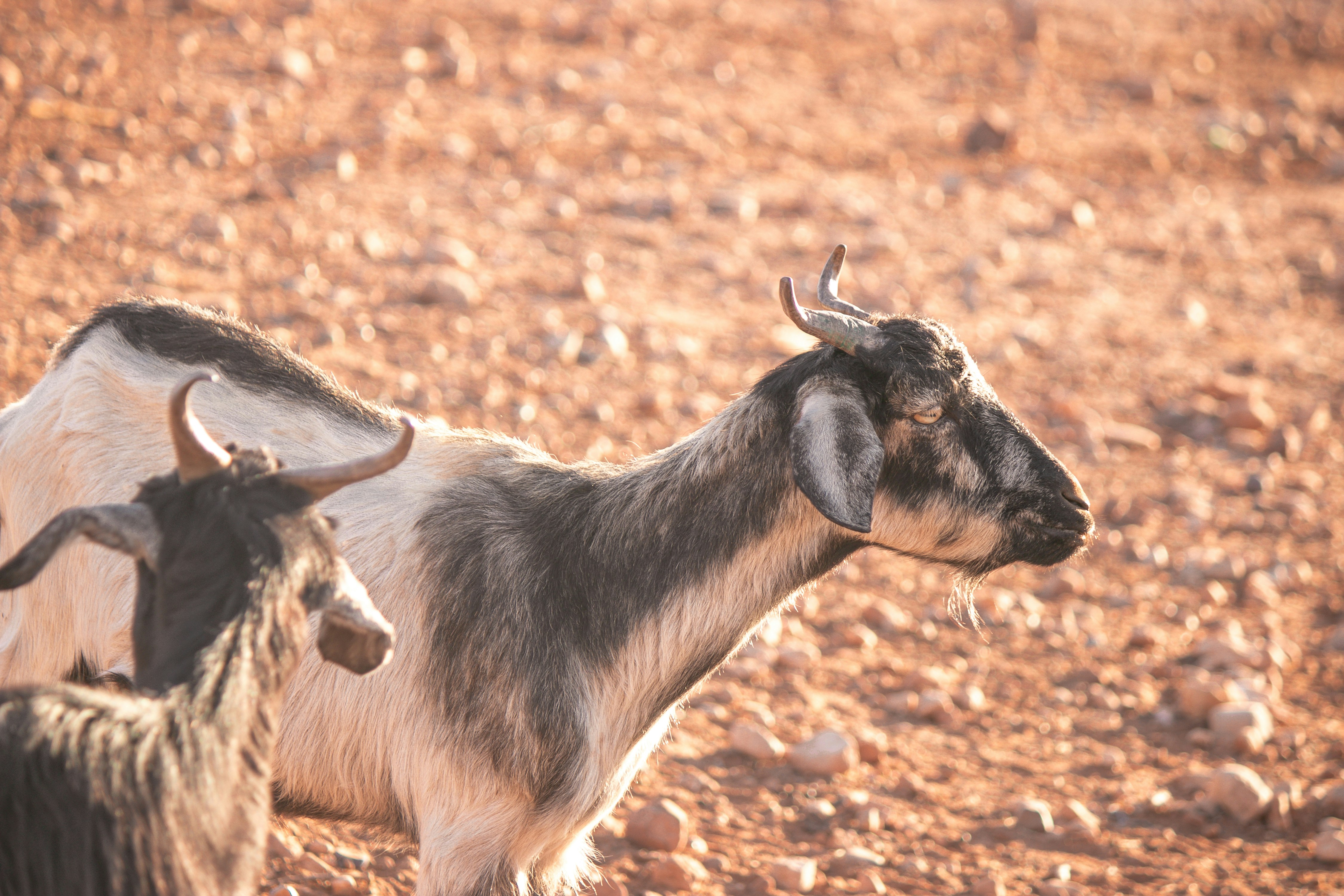 Photo by wlkr_photography