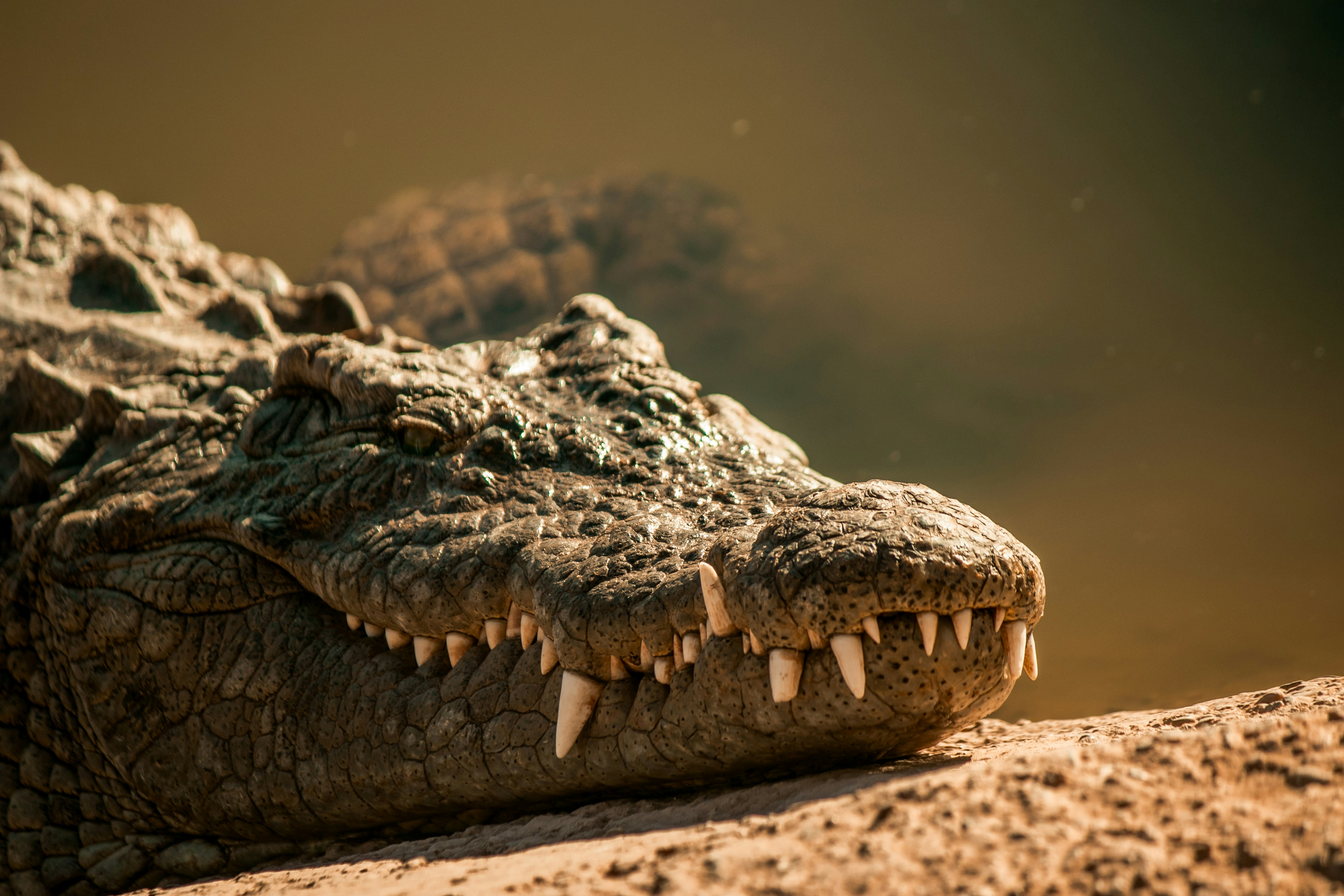 Photo by wlkr_photography