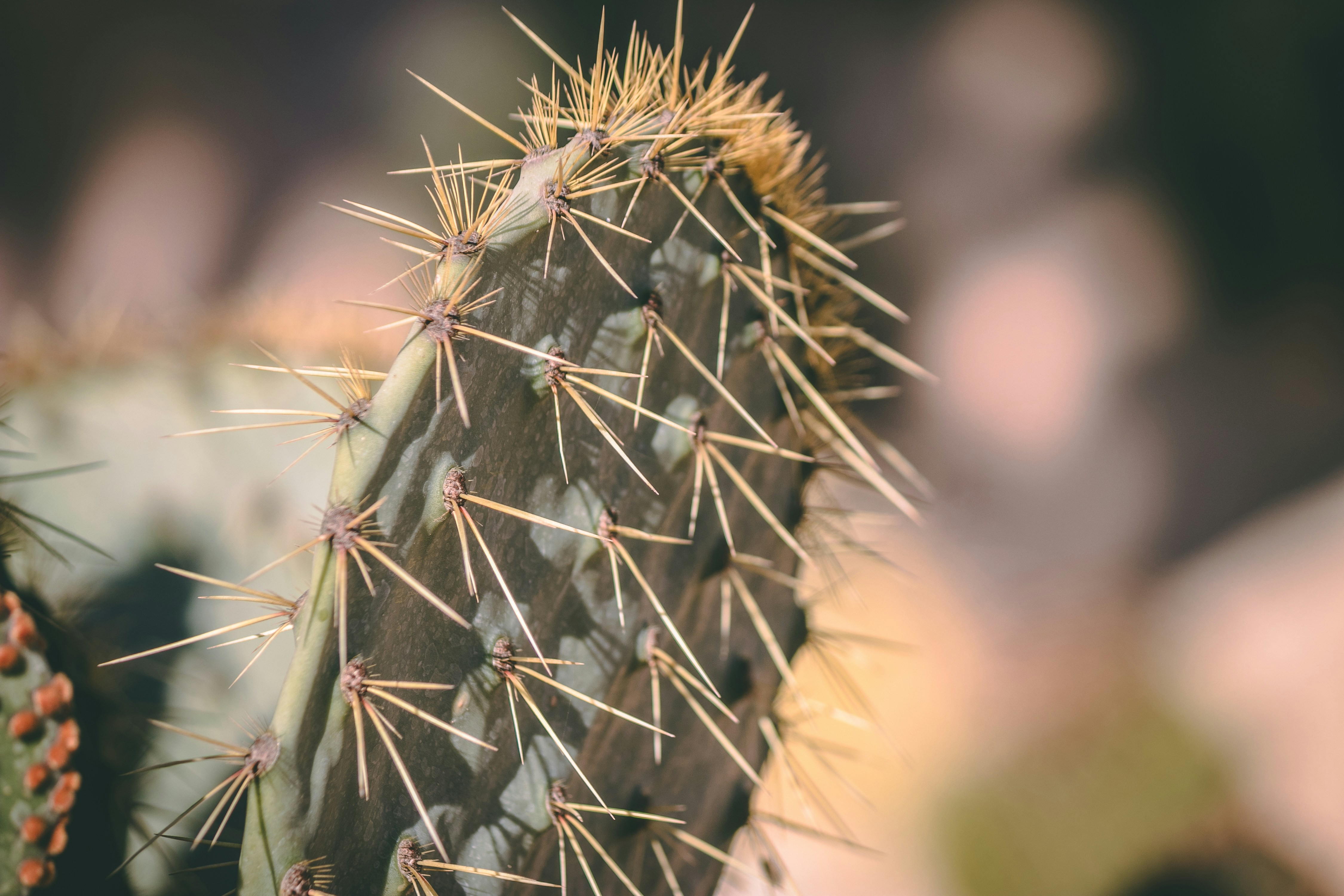 Photo by wlkr_photography