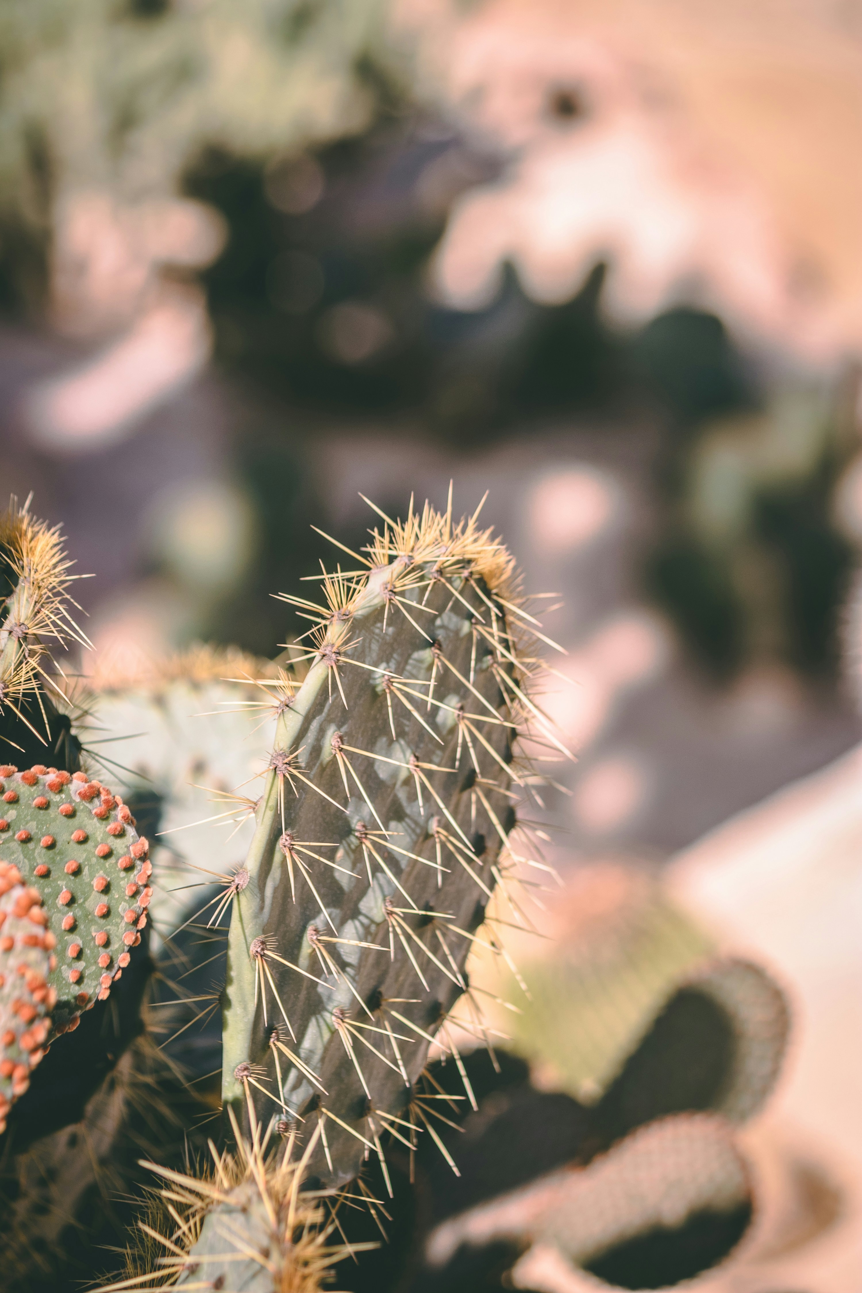 Photo by wlkr_photography