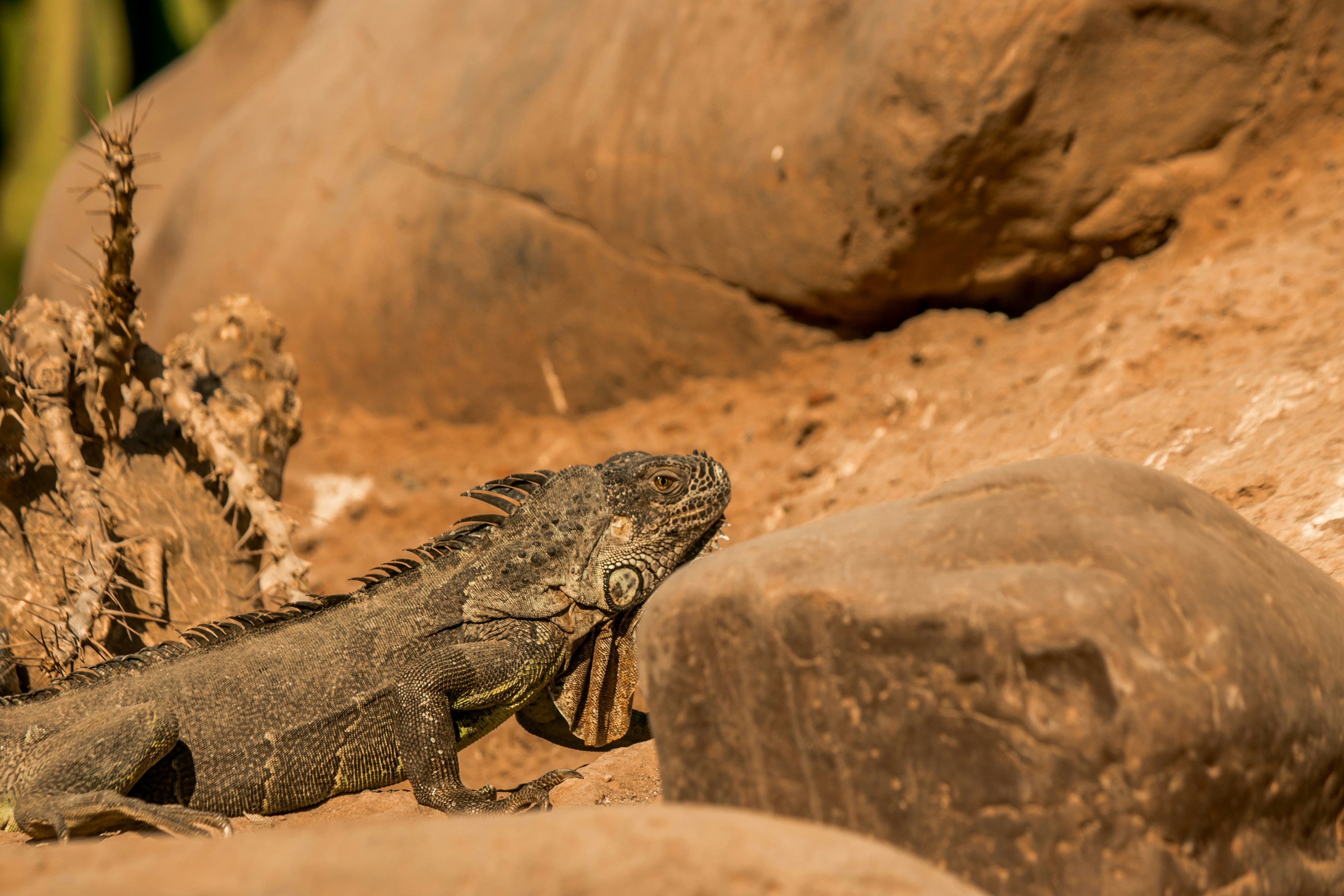 Photo by wlkr_photography