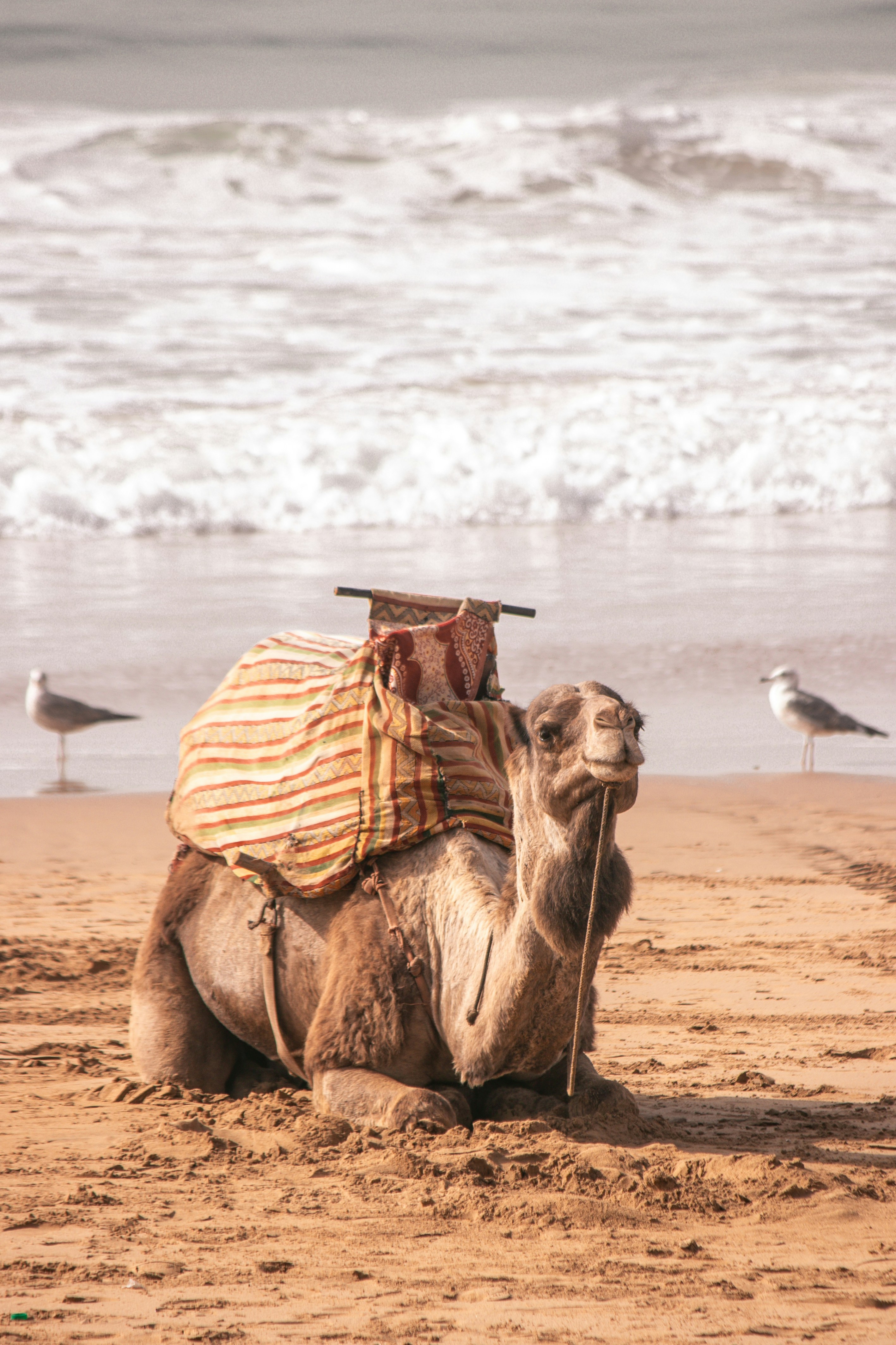 Photo by wlkr_photography