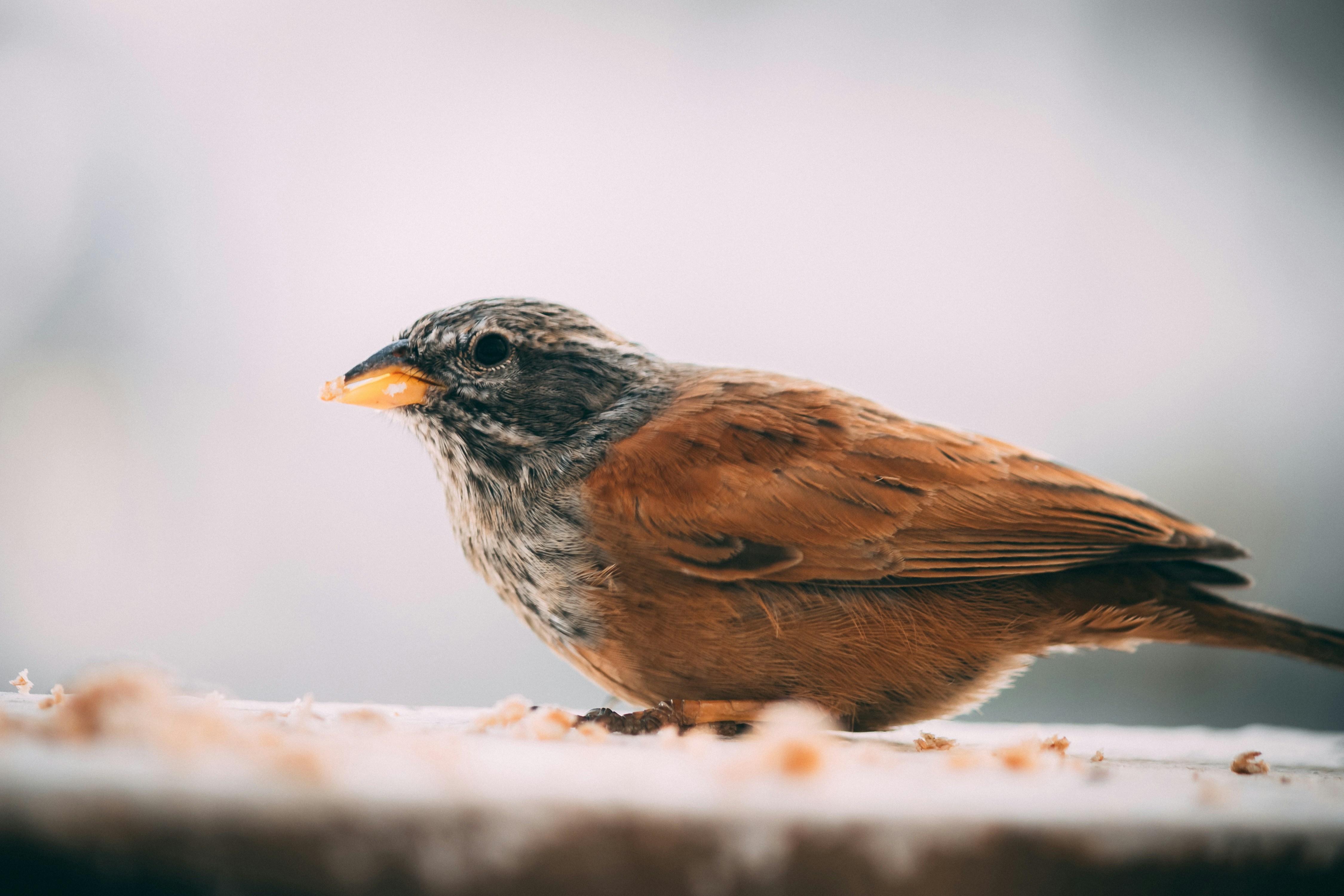 Photo by wlkr_photography