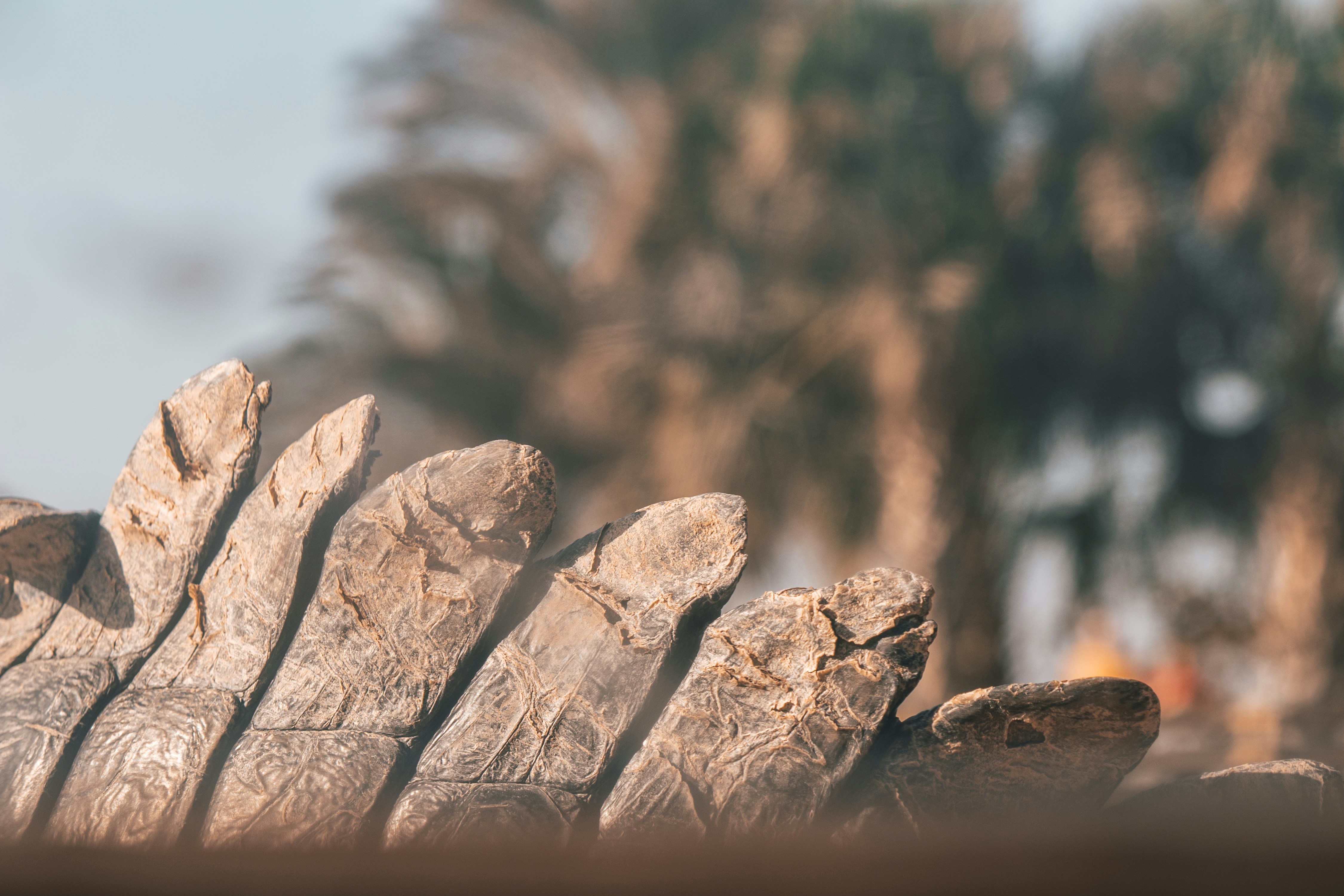 Photo by wlkr_photography