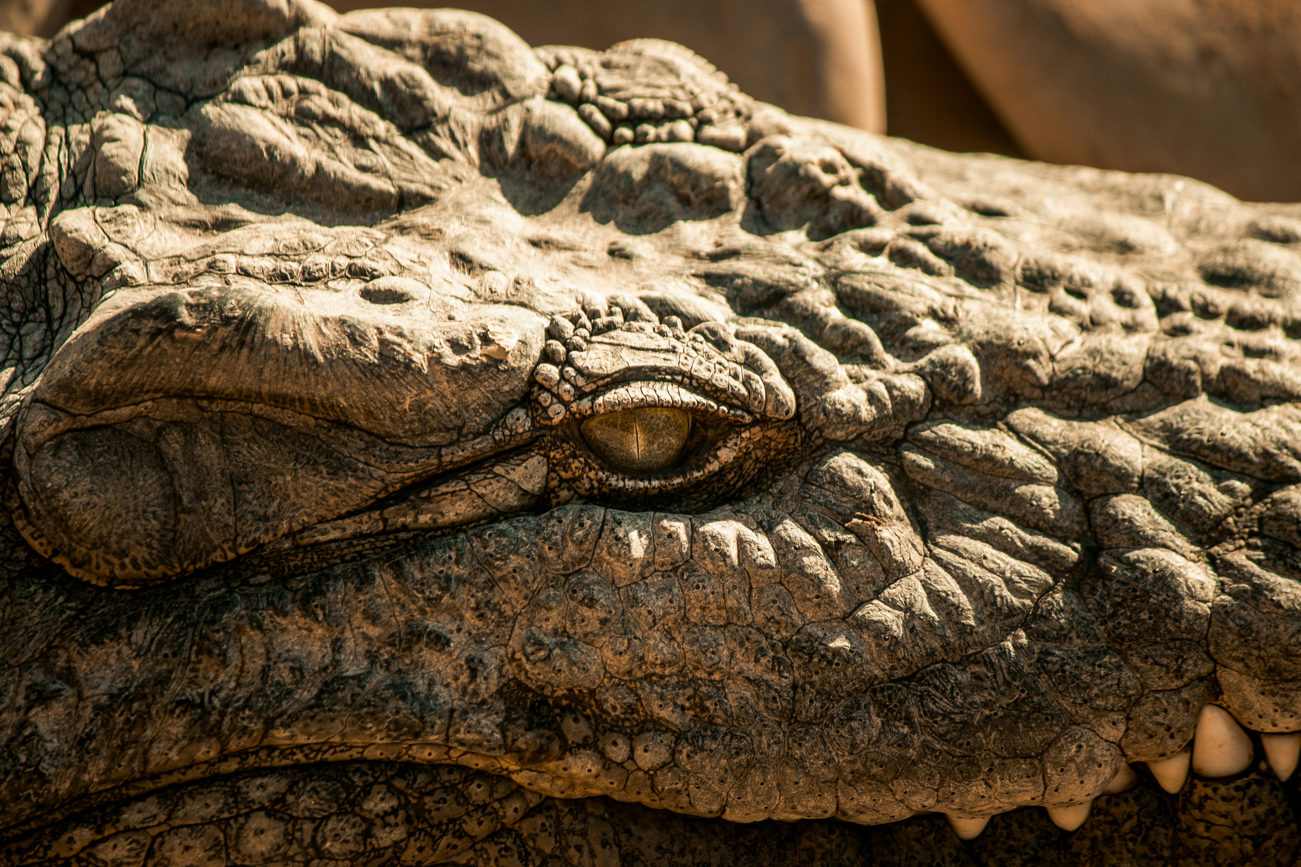 Photo by wlkr_photography