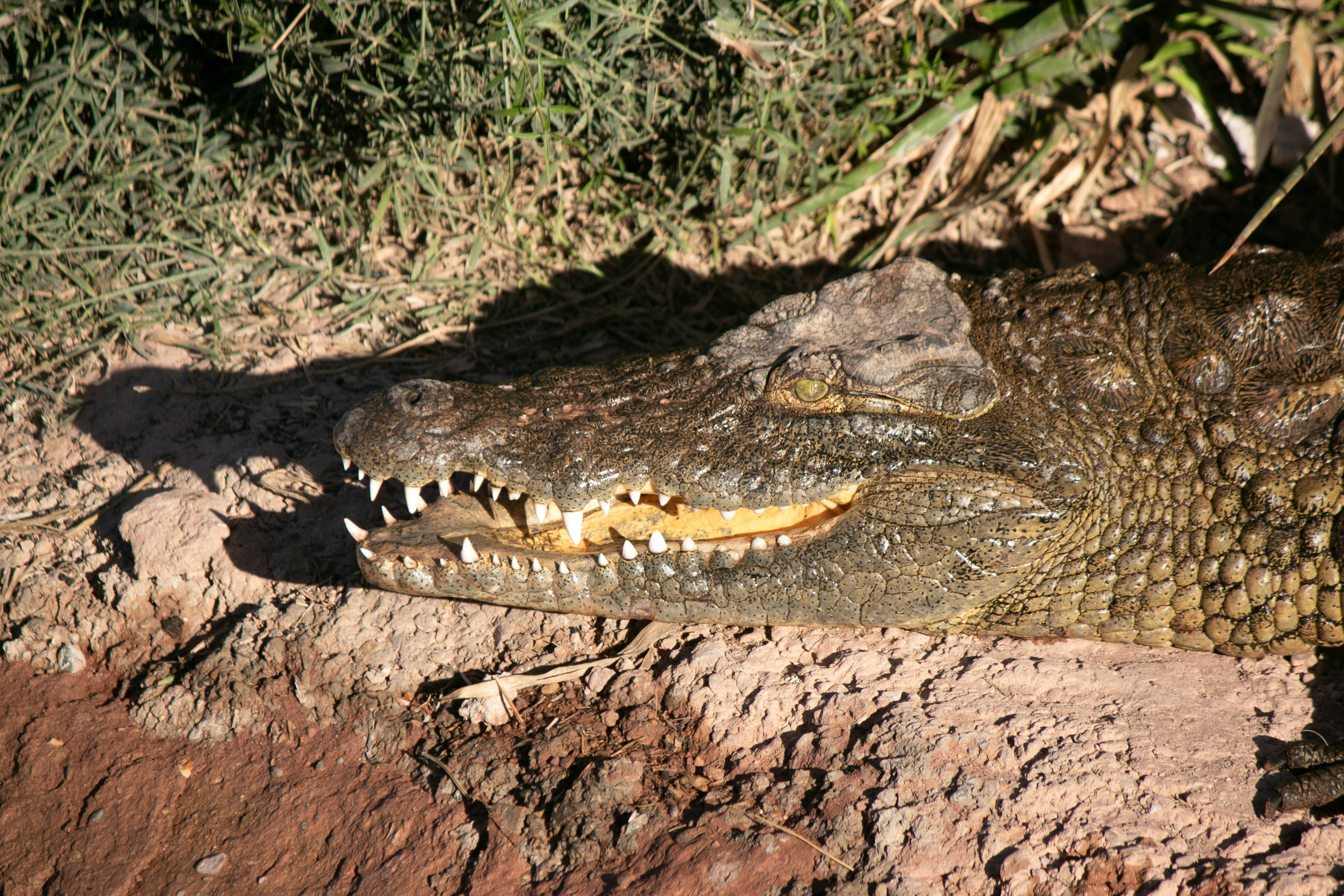 Photo by wlkr_photography