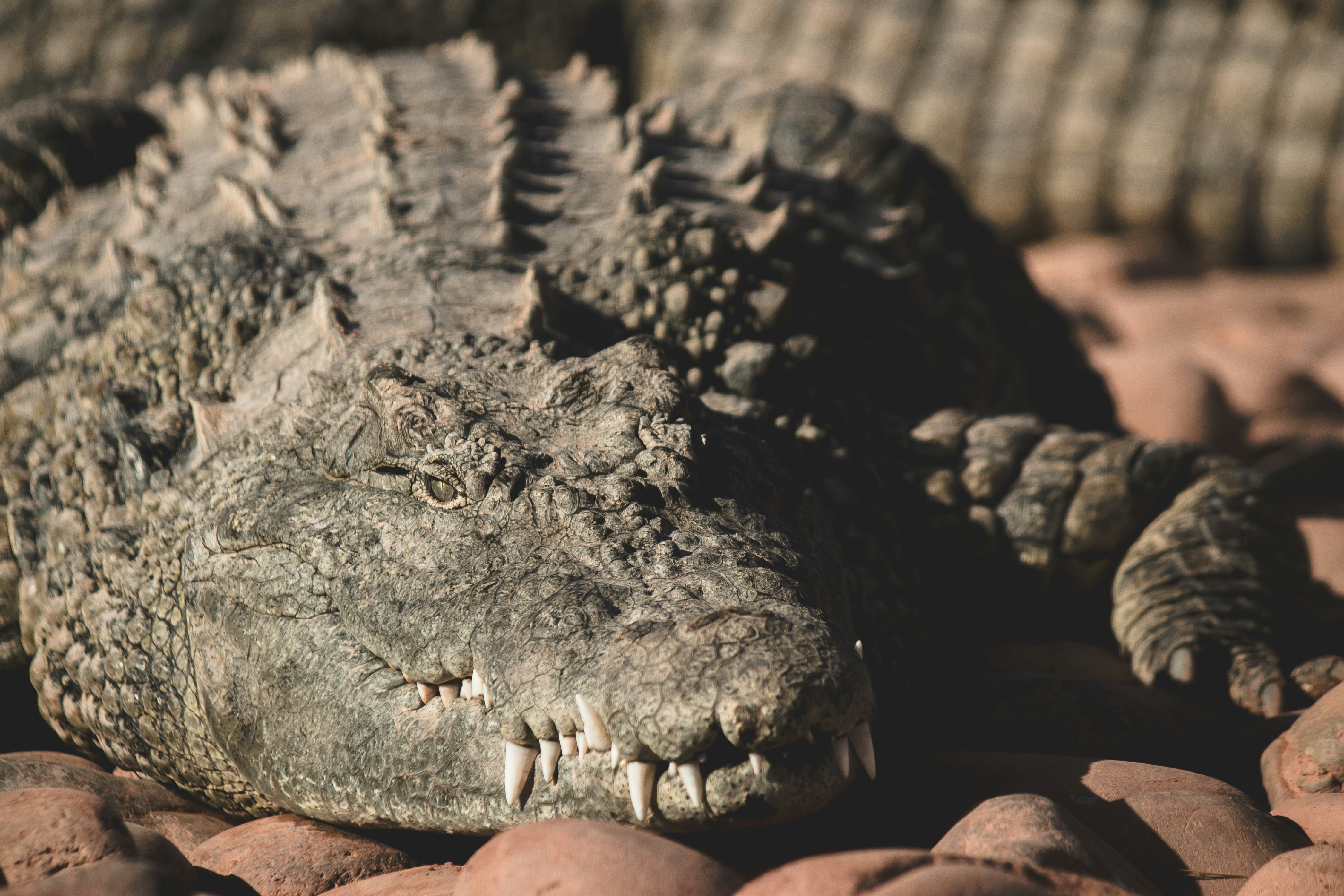 Photo by wlkr_photography