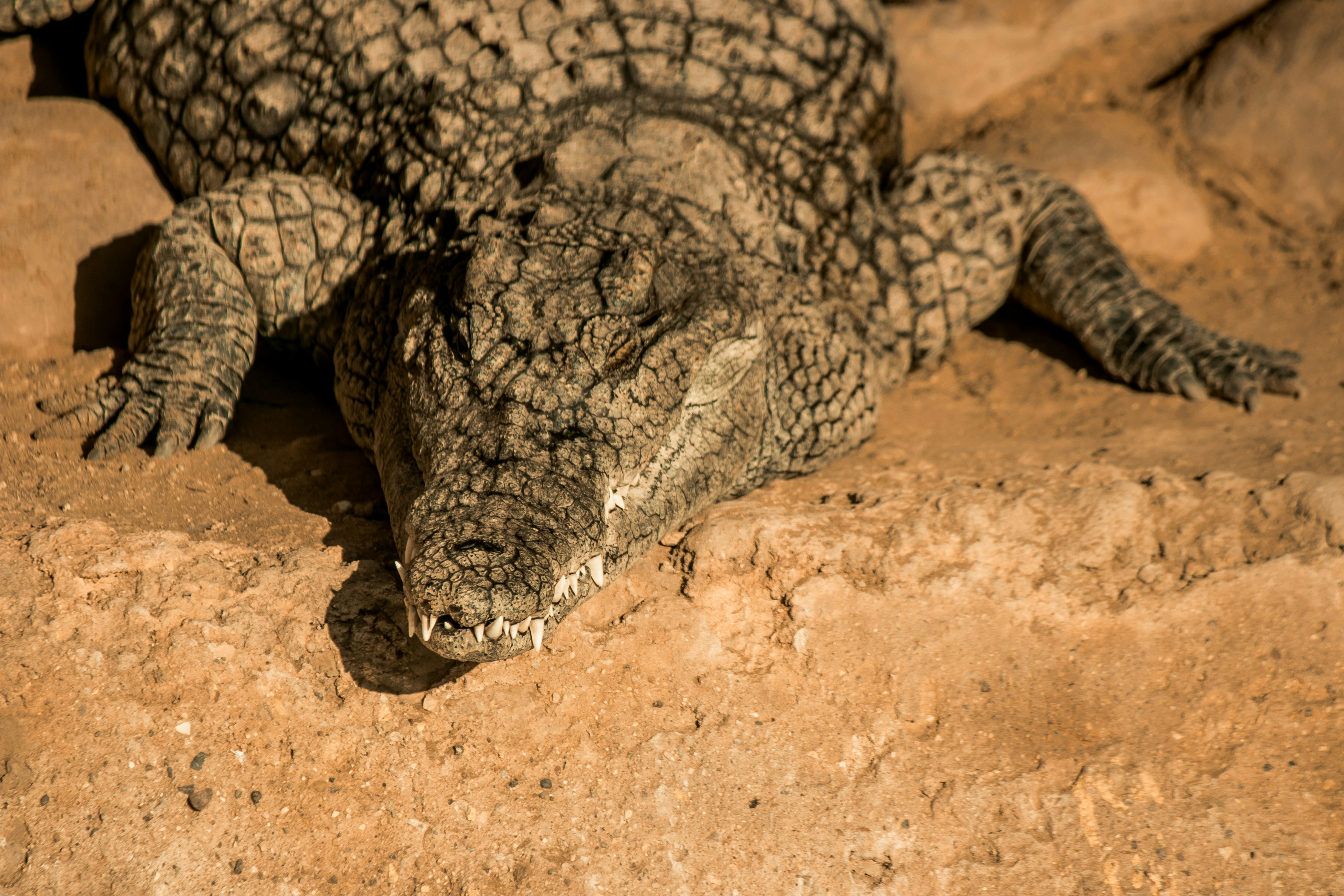 Photo by wlkr_photography