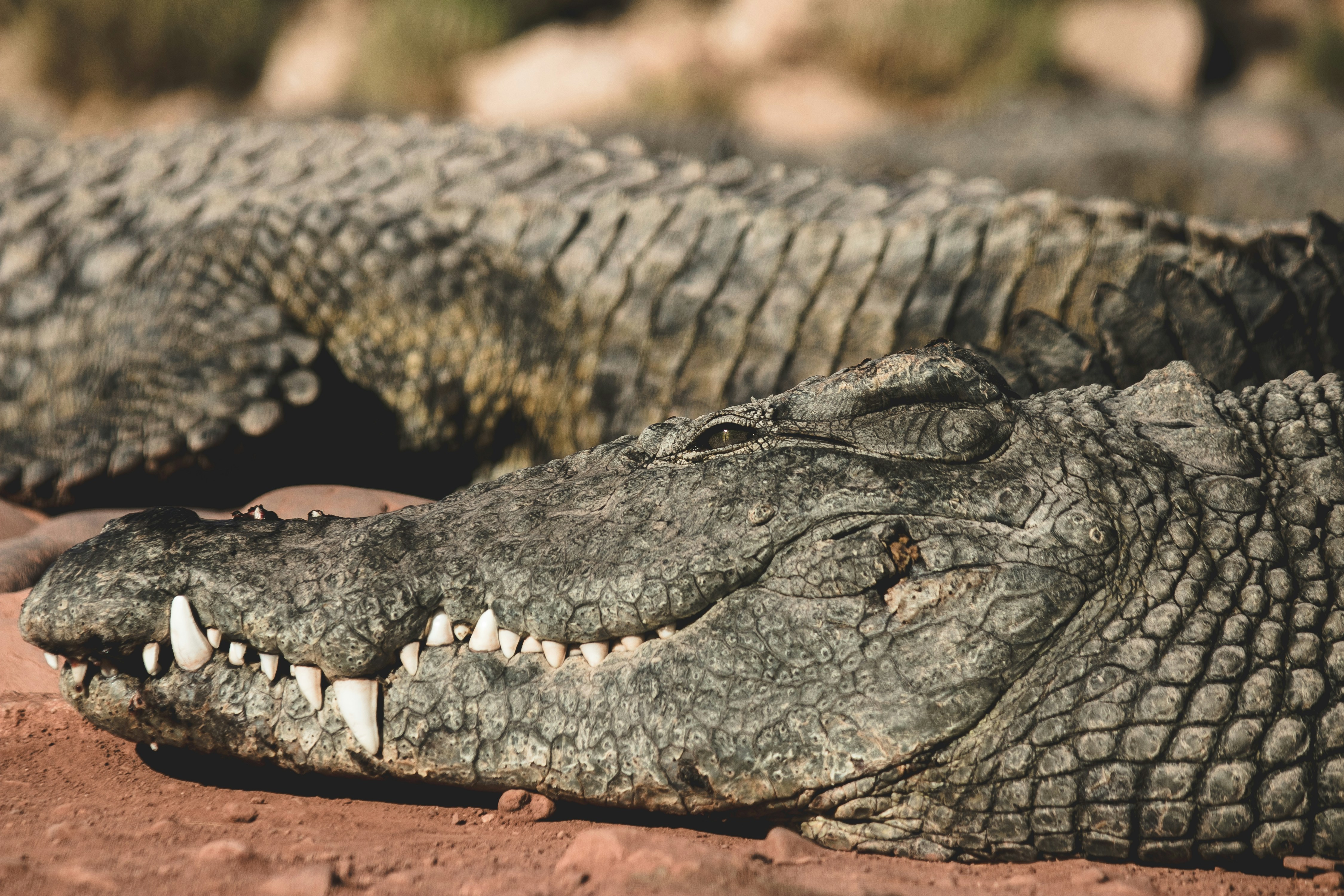 Photo by wlkr_photography