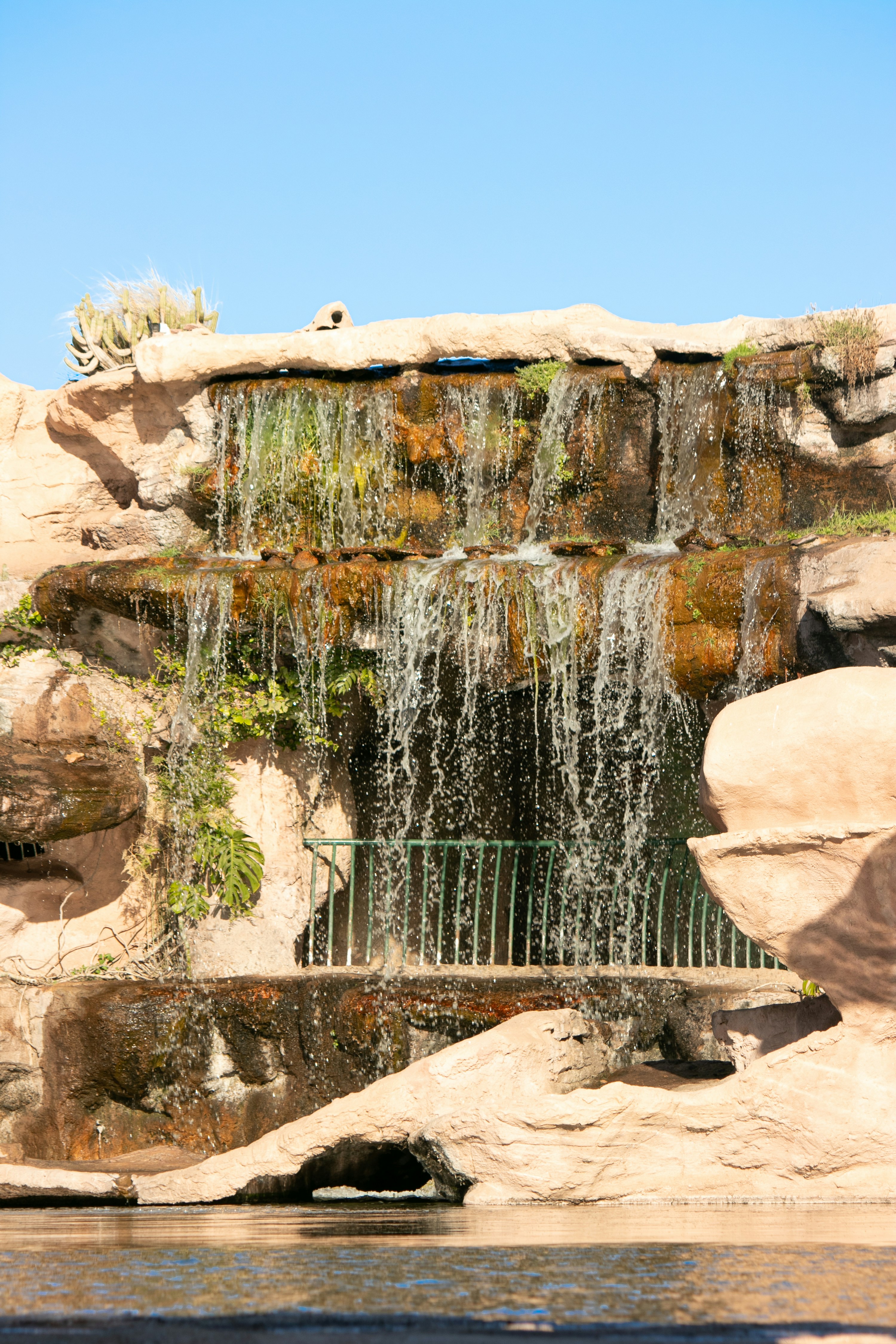 Photo by wlkr_photography