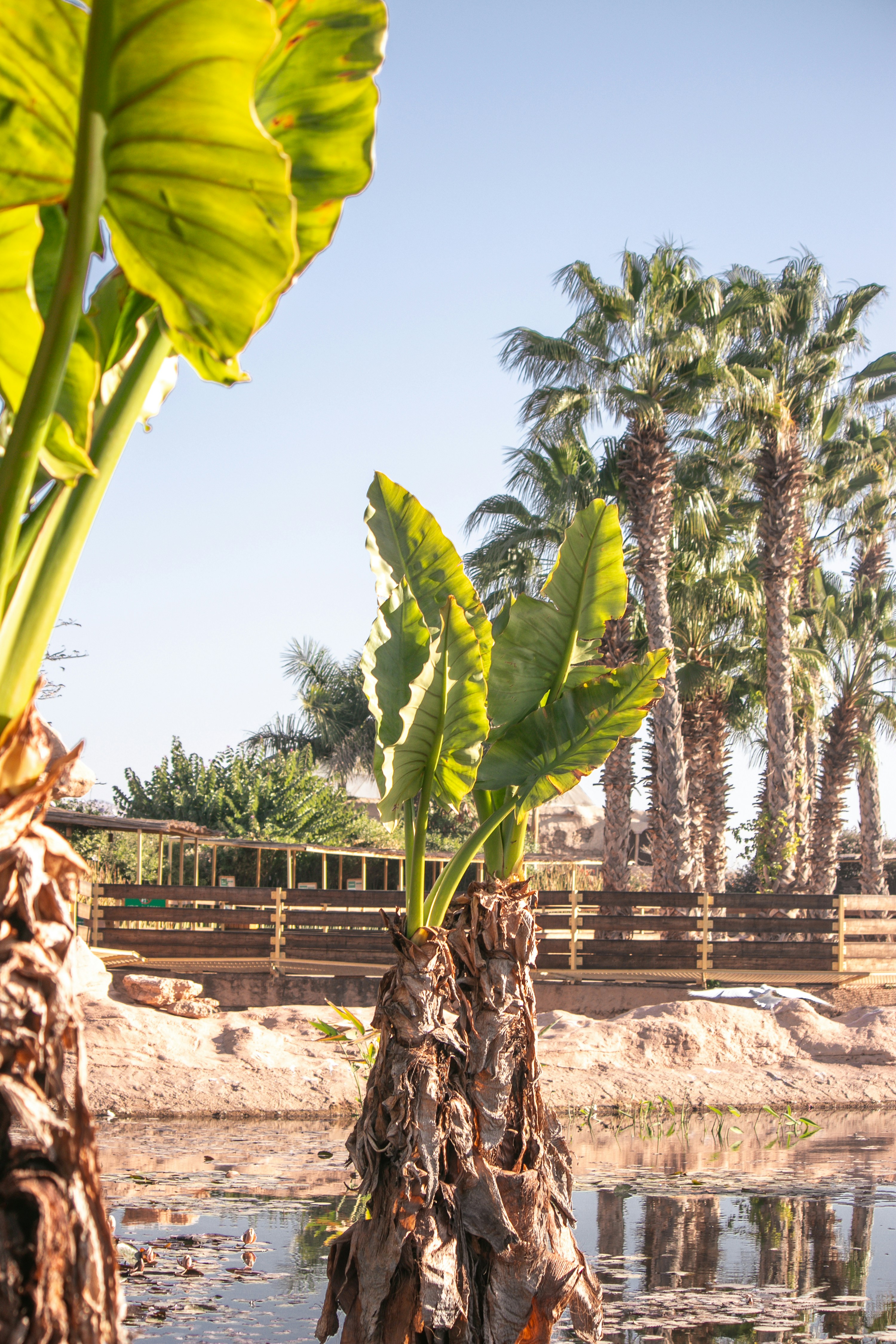 Photo by wlkr_photography