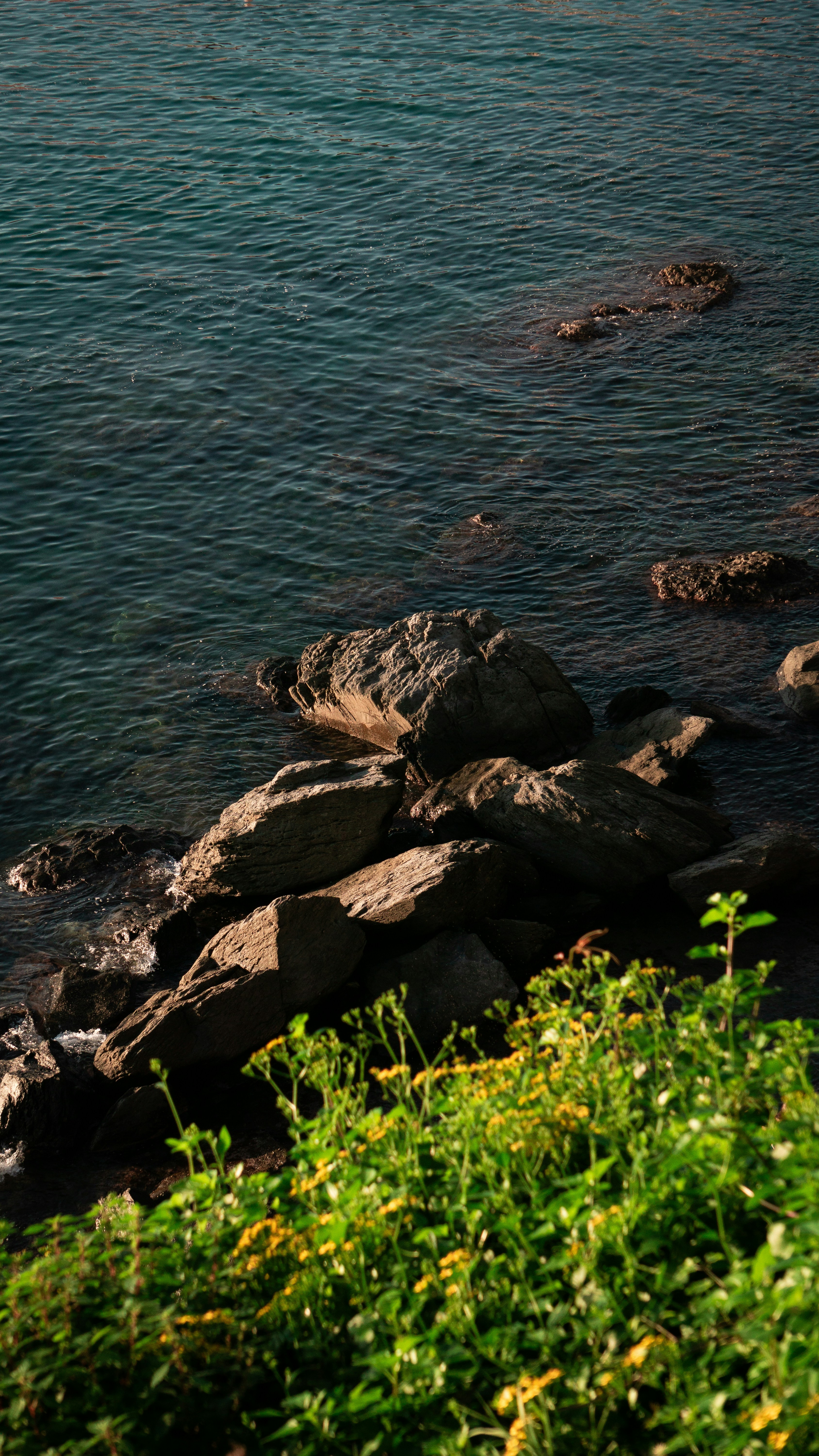 Photo by elias_anzani11