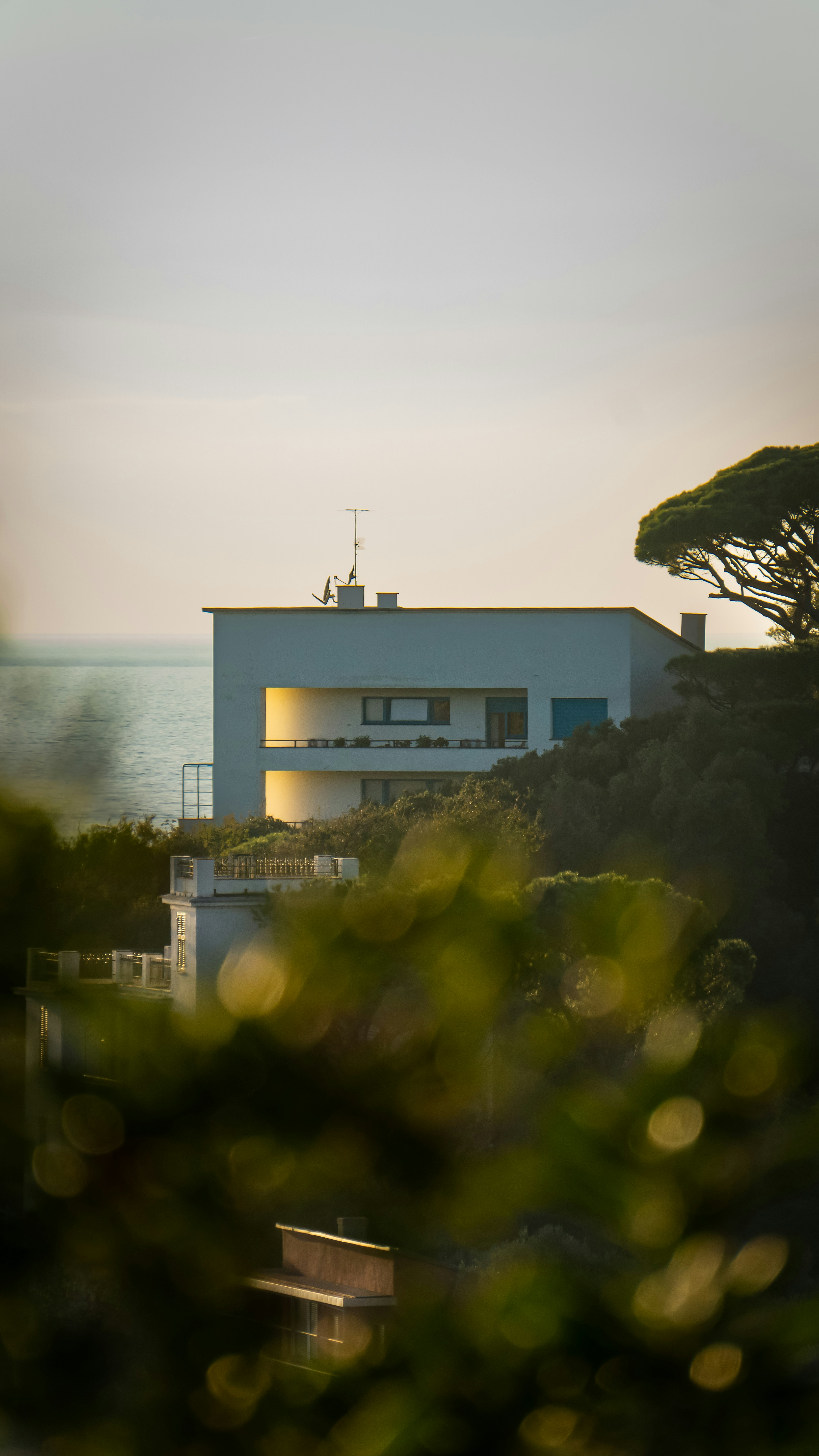 Photo by elias_anzani11