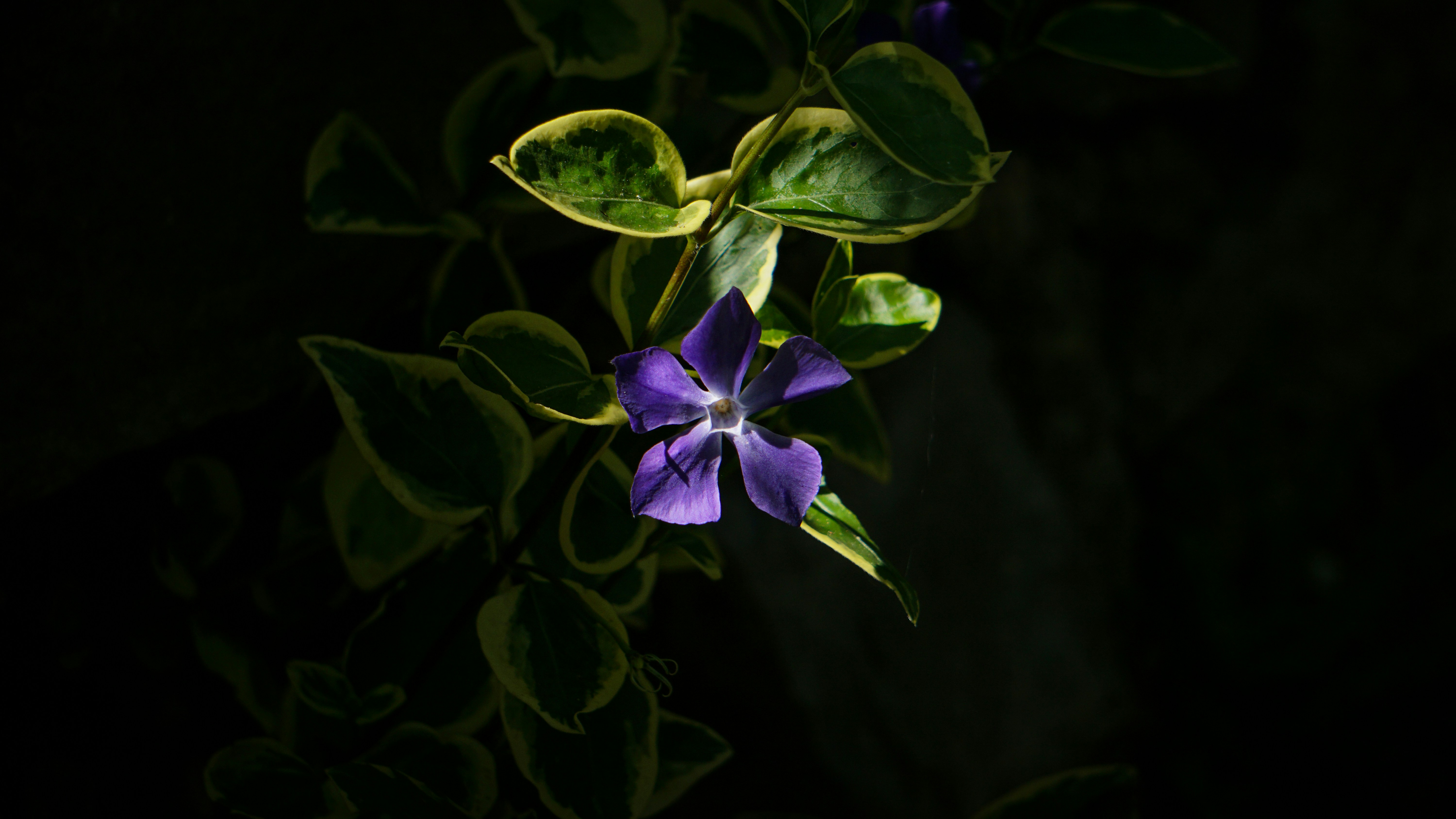 Photo by elias_anzani11