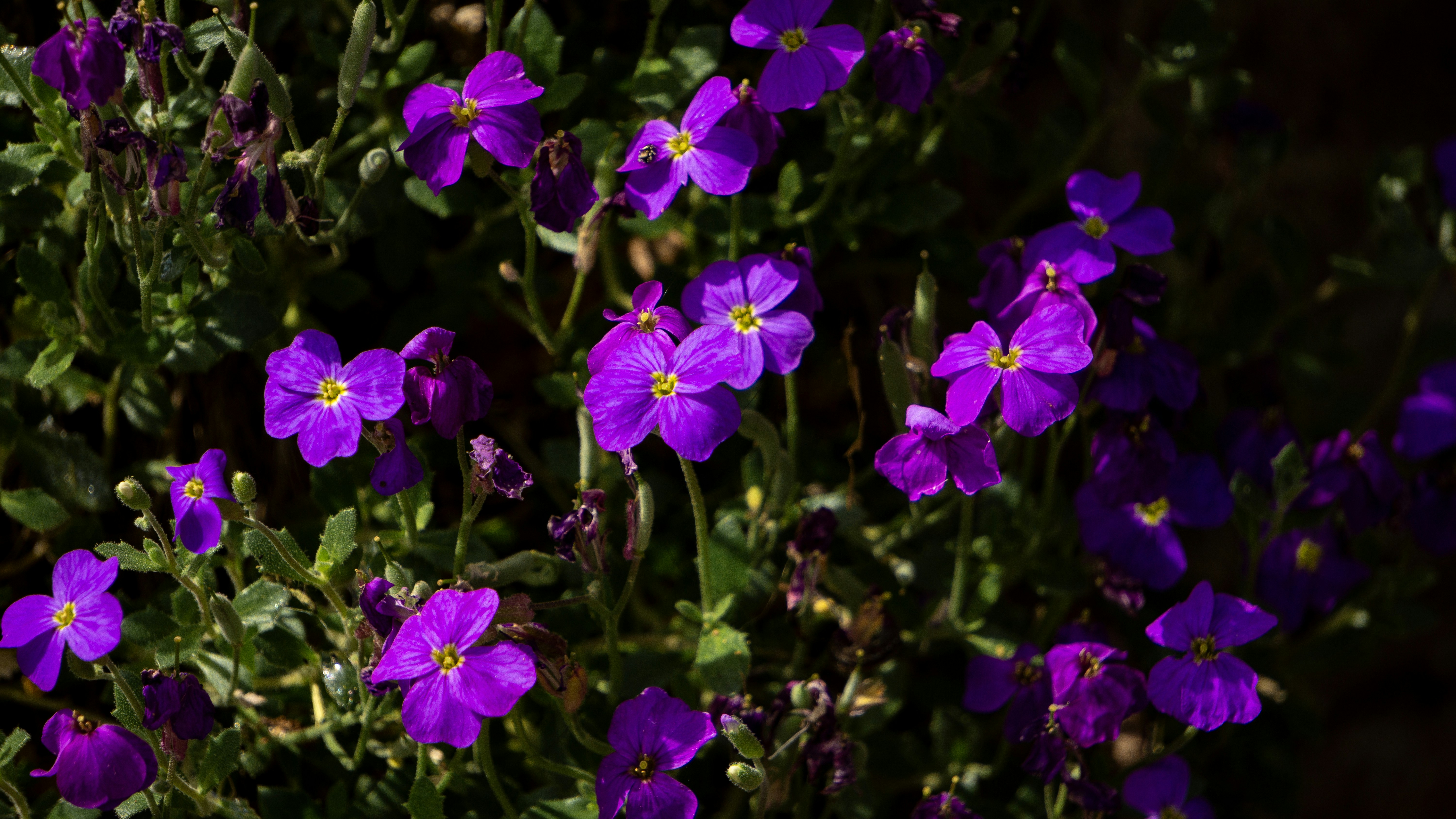 Photo by elias_anzani11