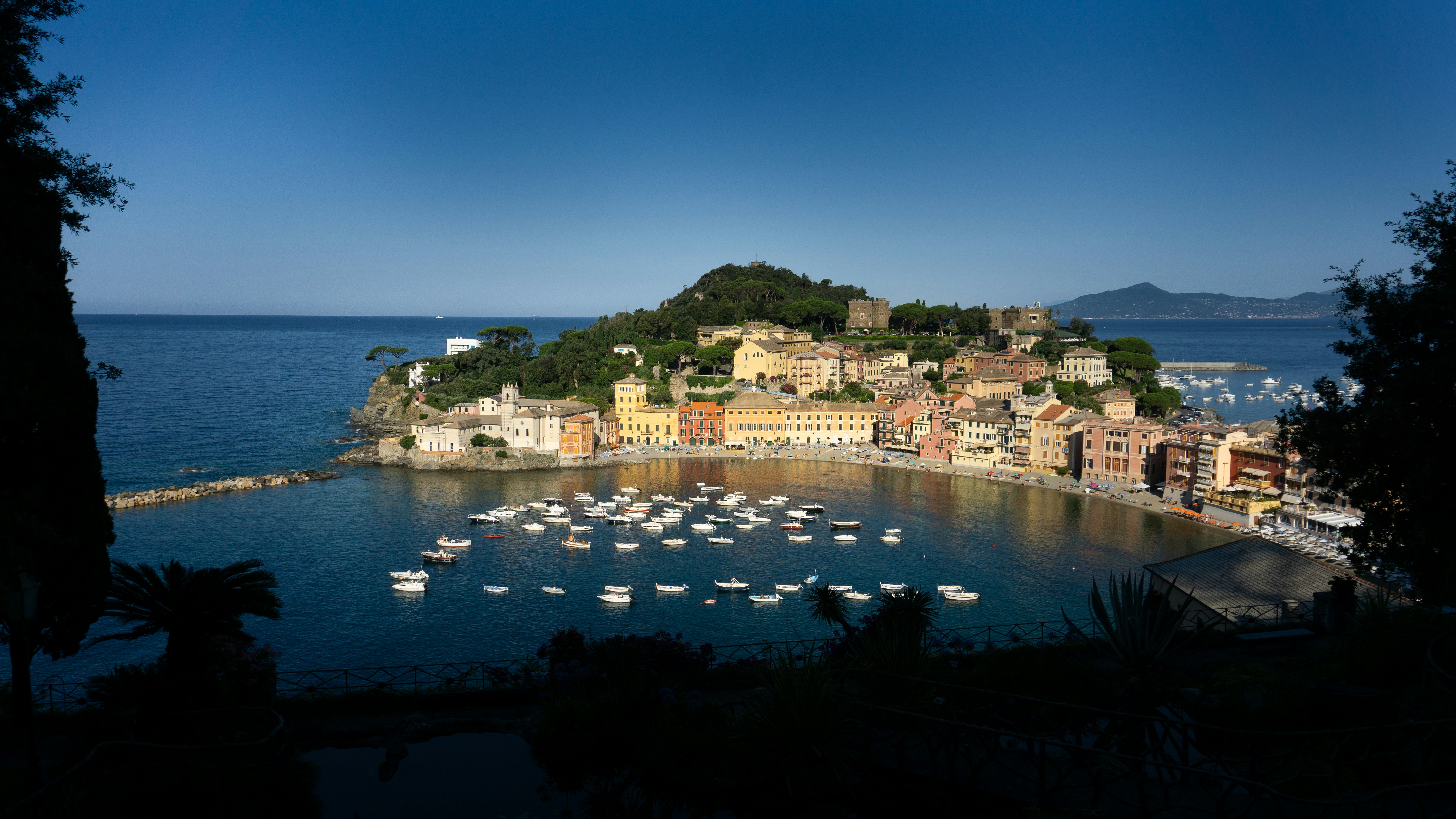 Photo by elias_anzani11