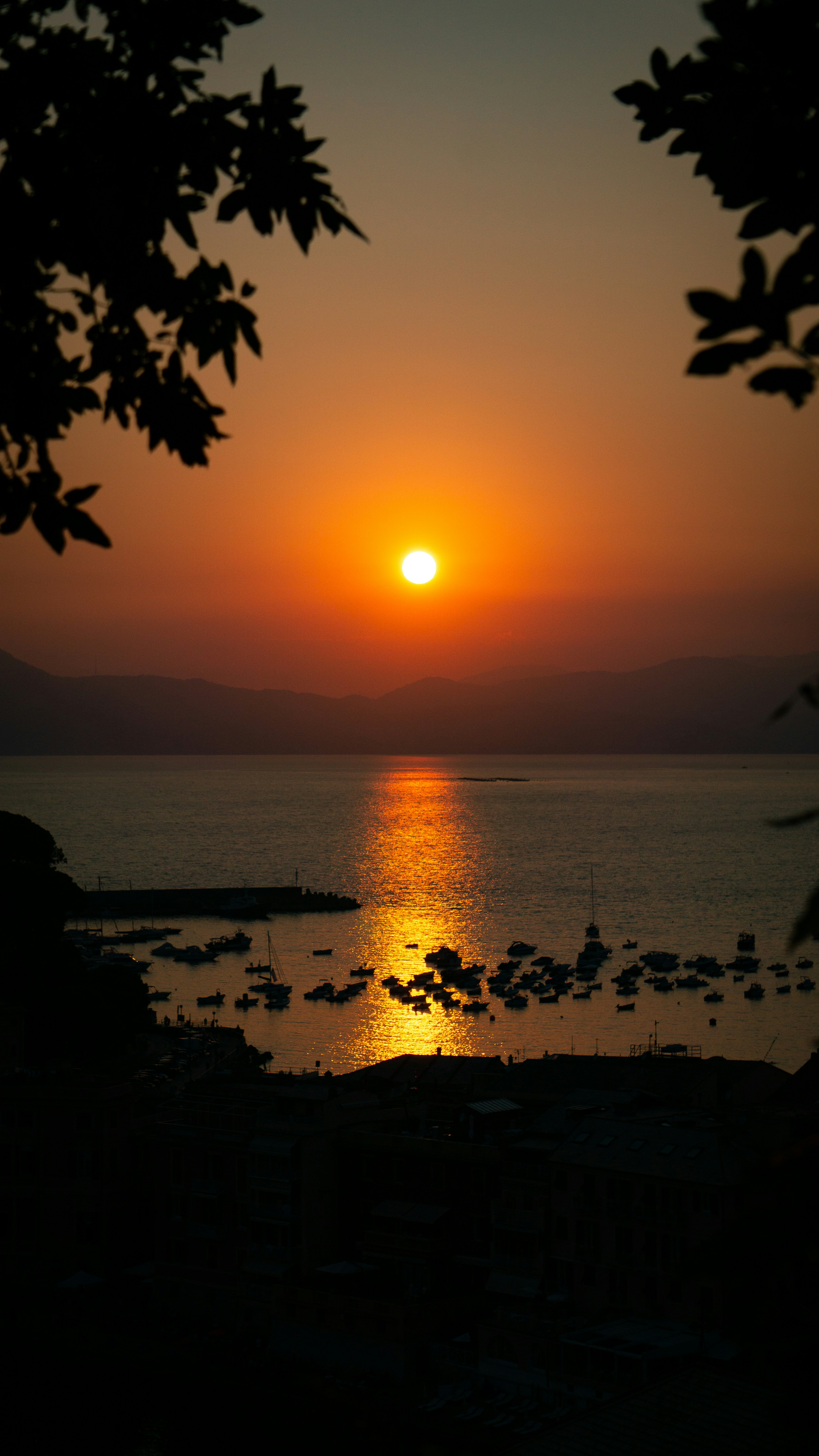Photo by elias_anzani11