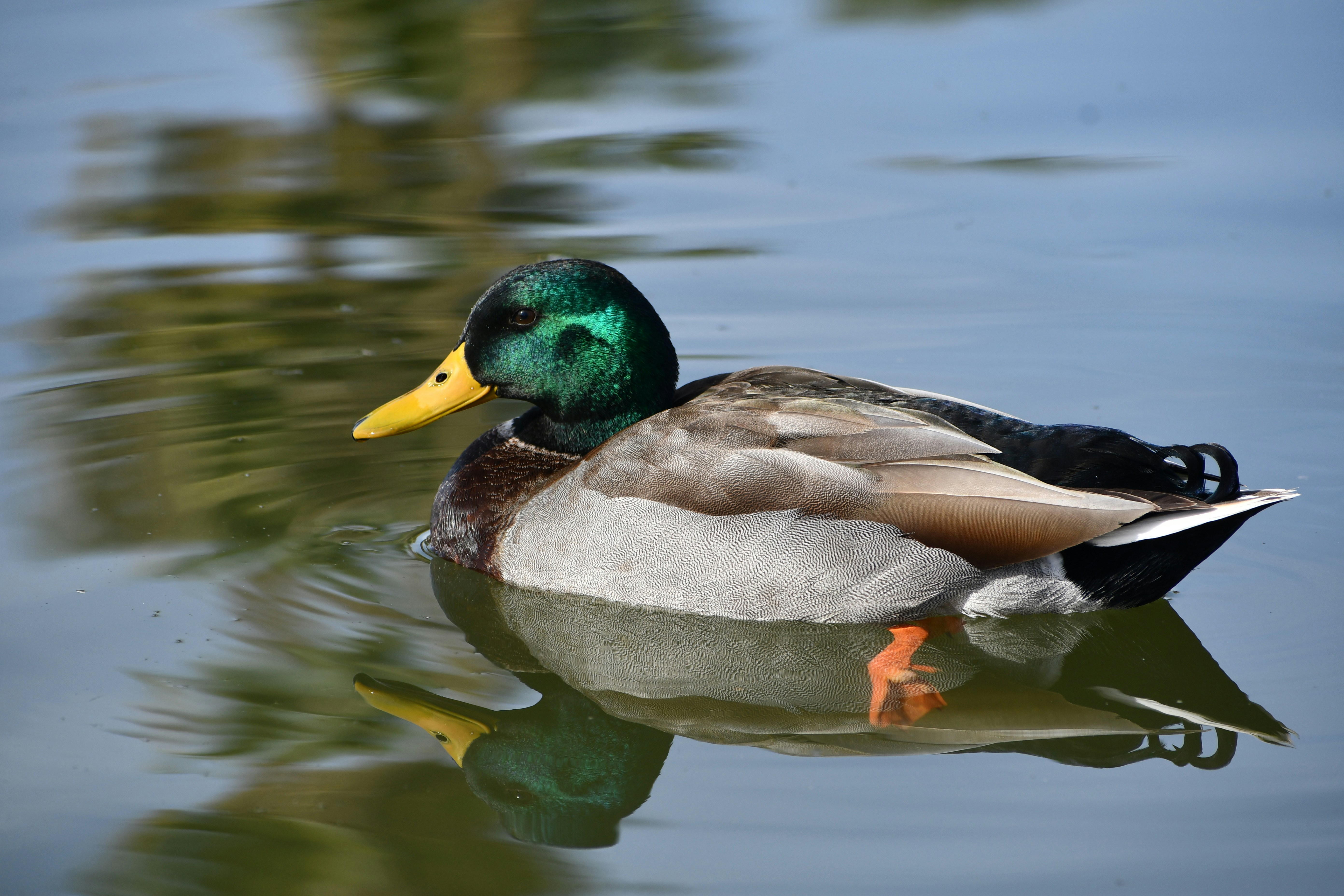 Photo by aaronbutterfield