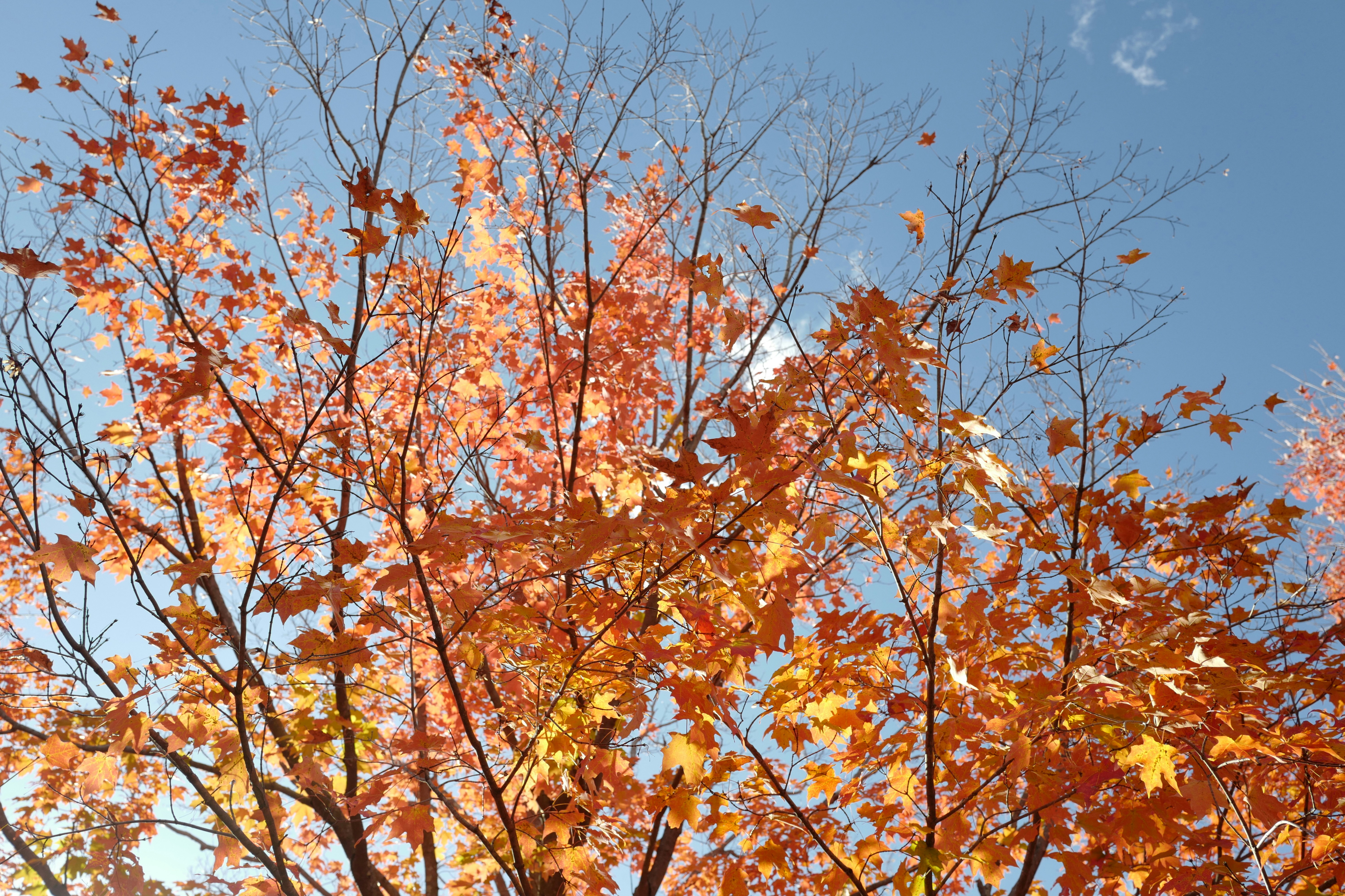 Photo by jenniferyung