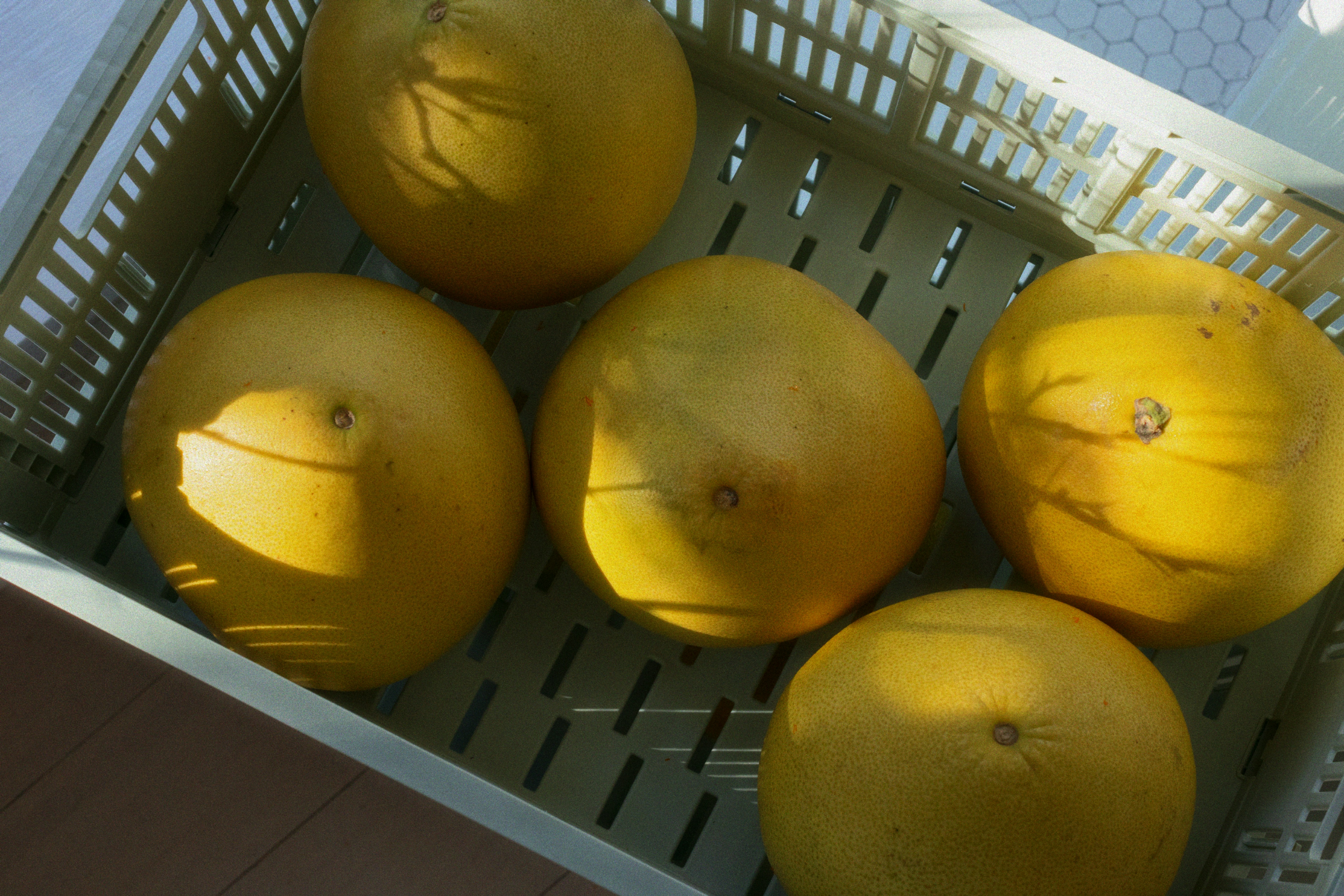 망고참외 맛있는 것 고르는 법 및 보관 방법 관련 이미지2
