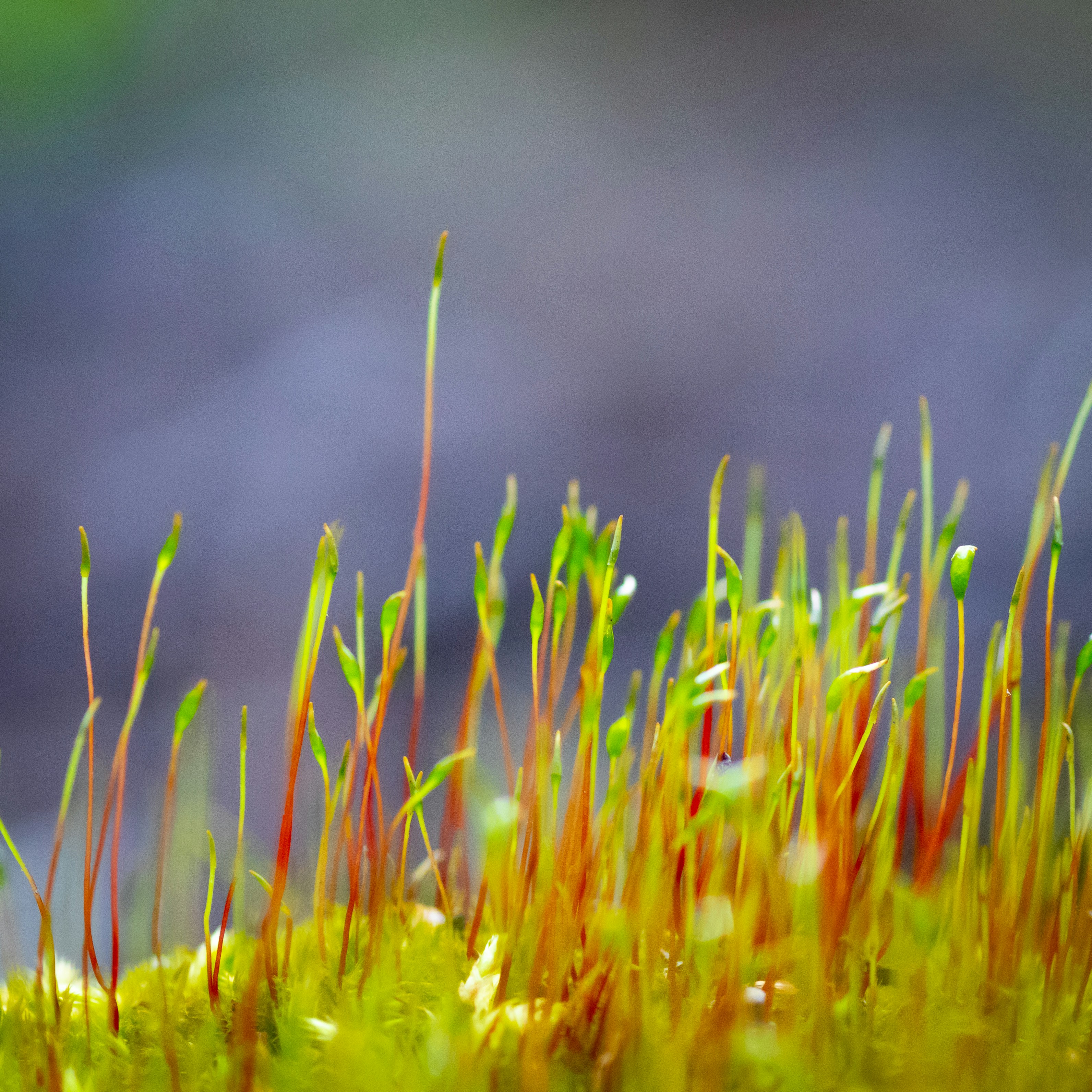 Photo by williamfaicher