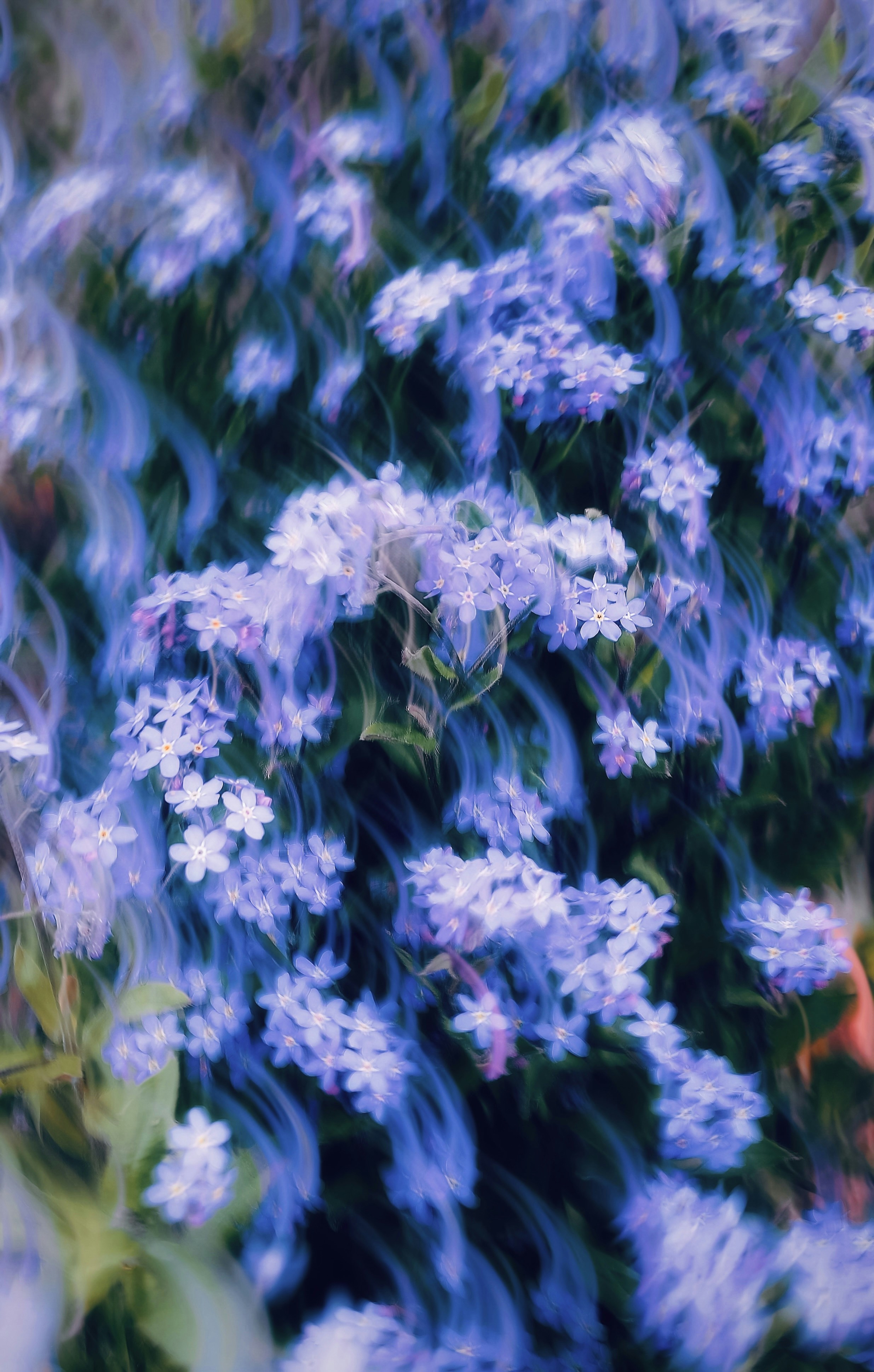 Photo by eugene_golovesov