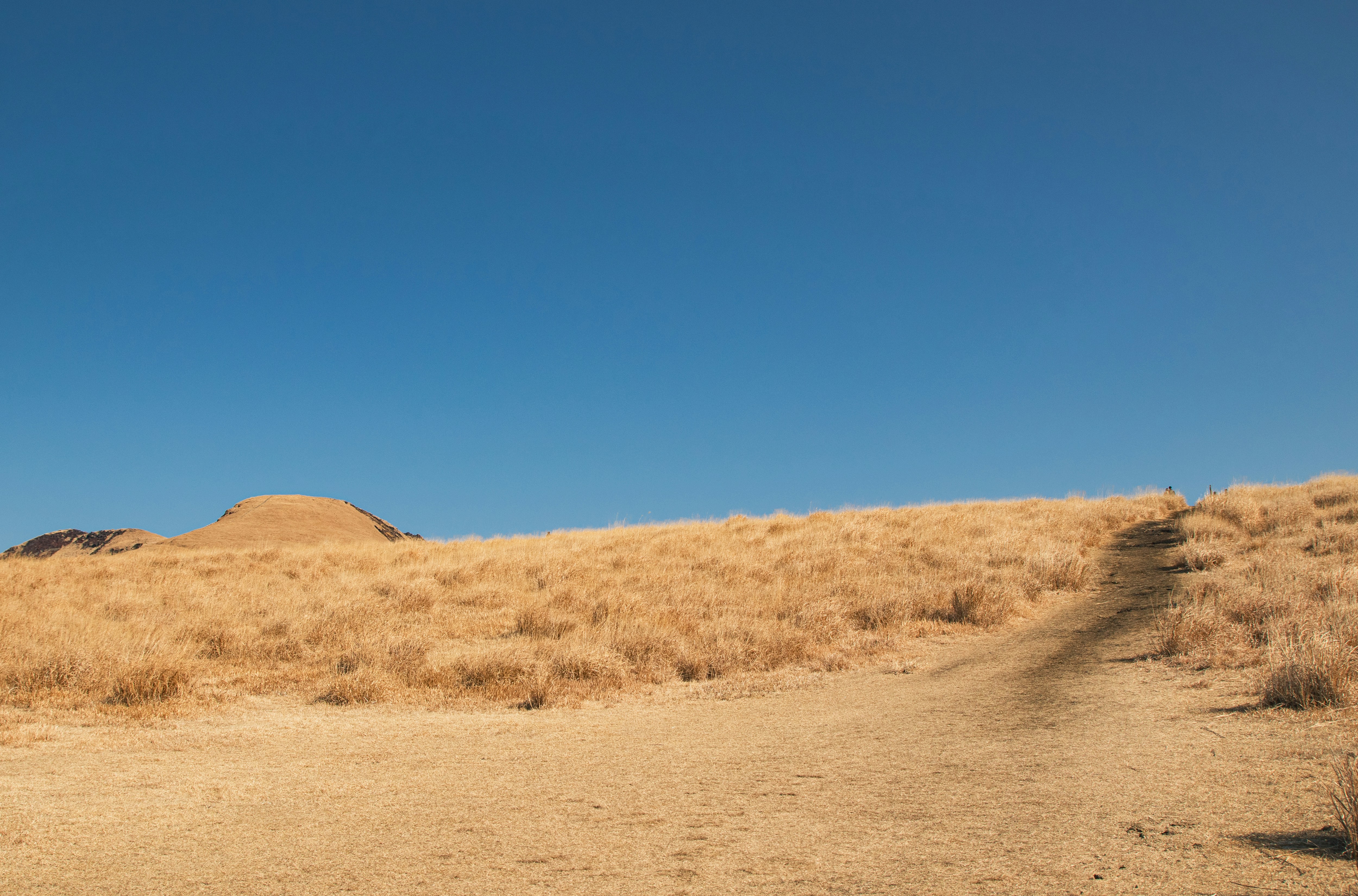 Photo by travelershigh