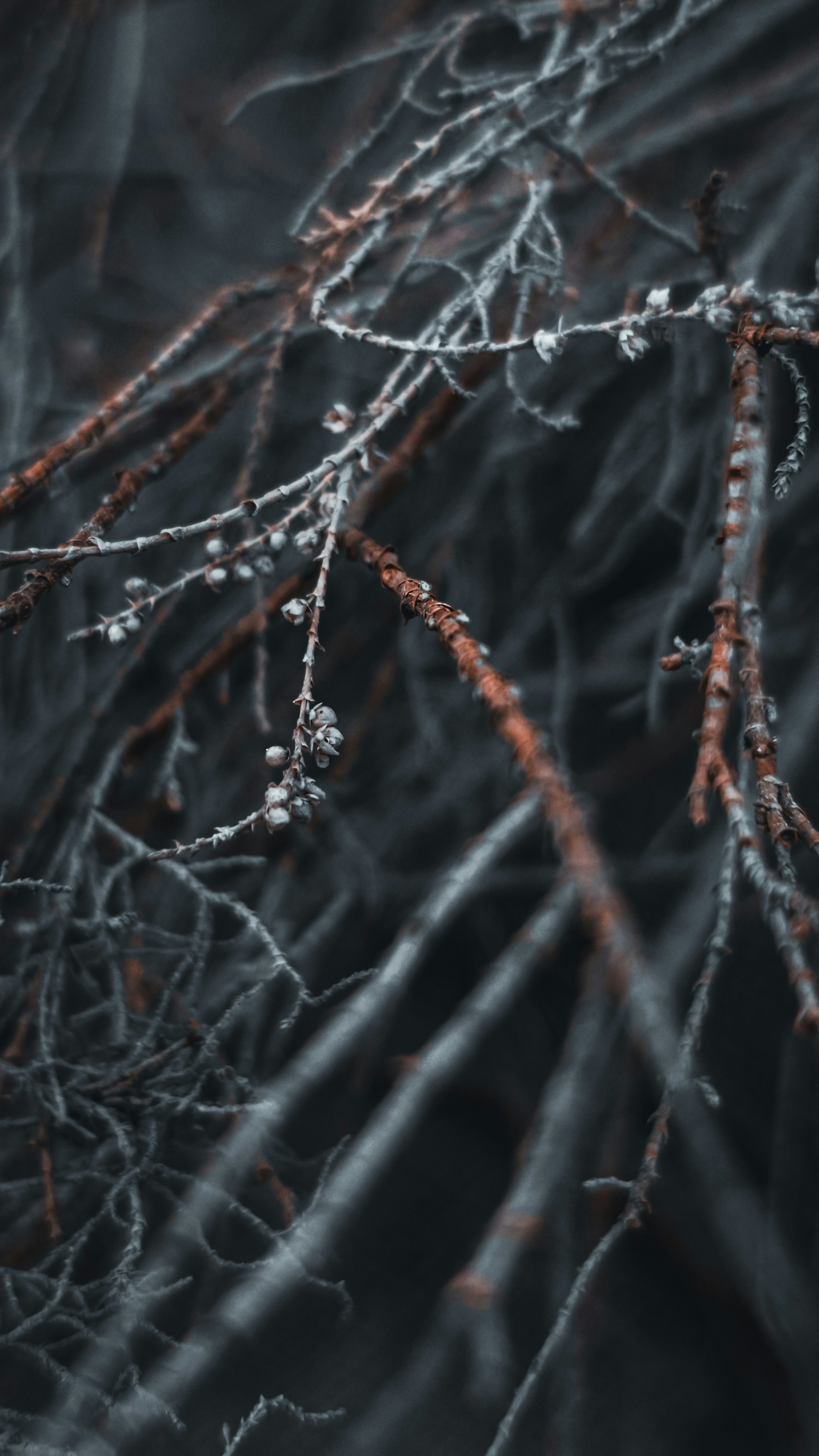 Photo by fukw0314_88