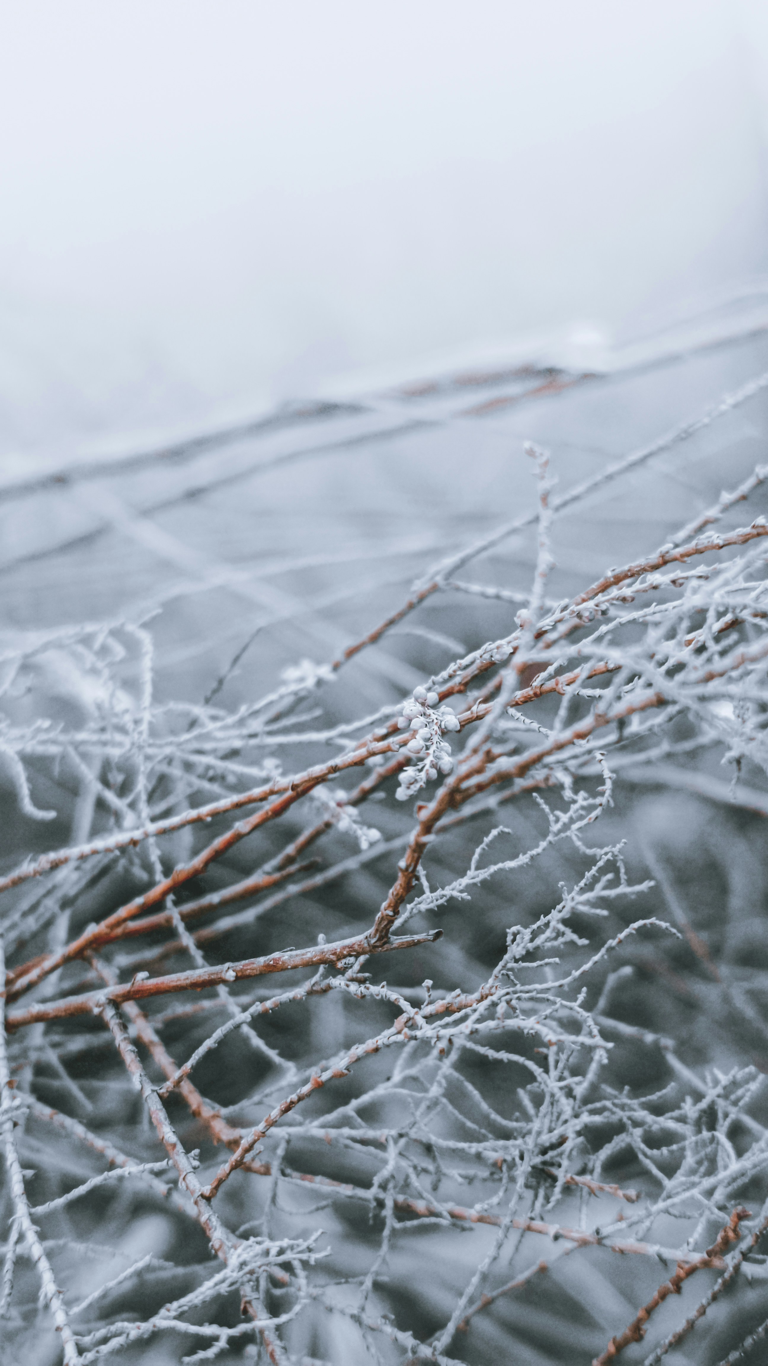 Photo by fukw0314_88