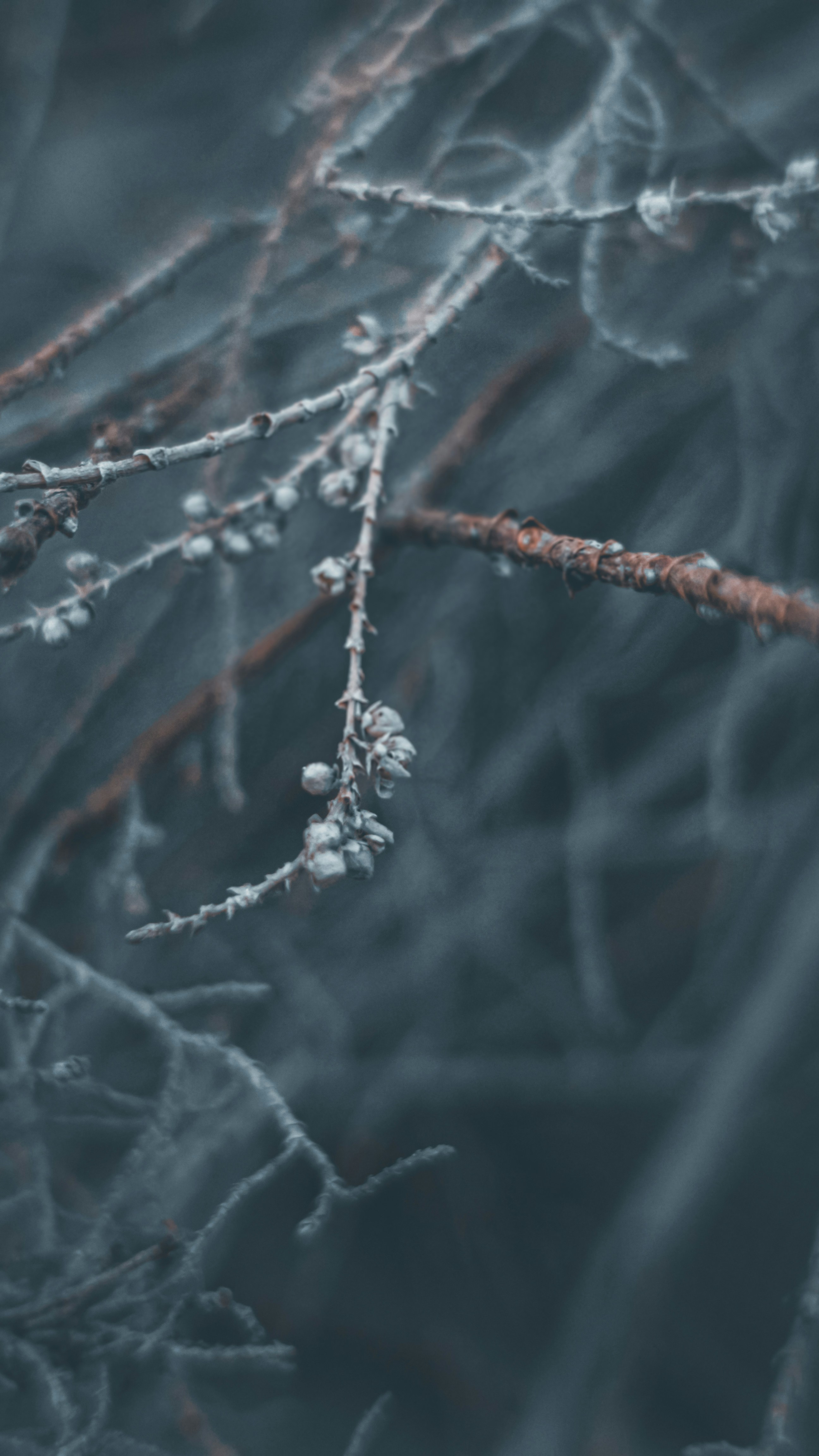 Photo by fukw0314_88