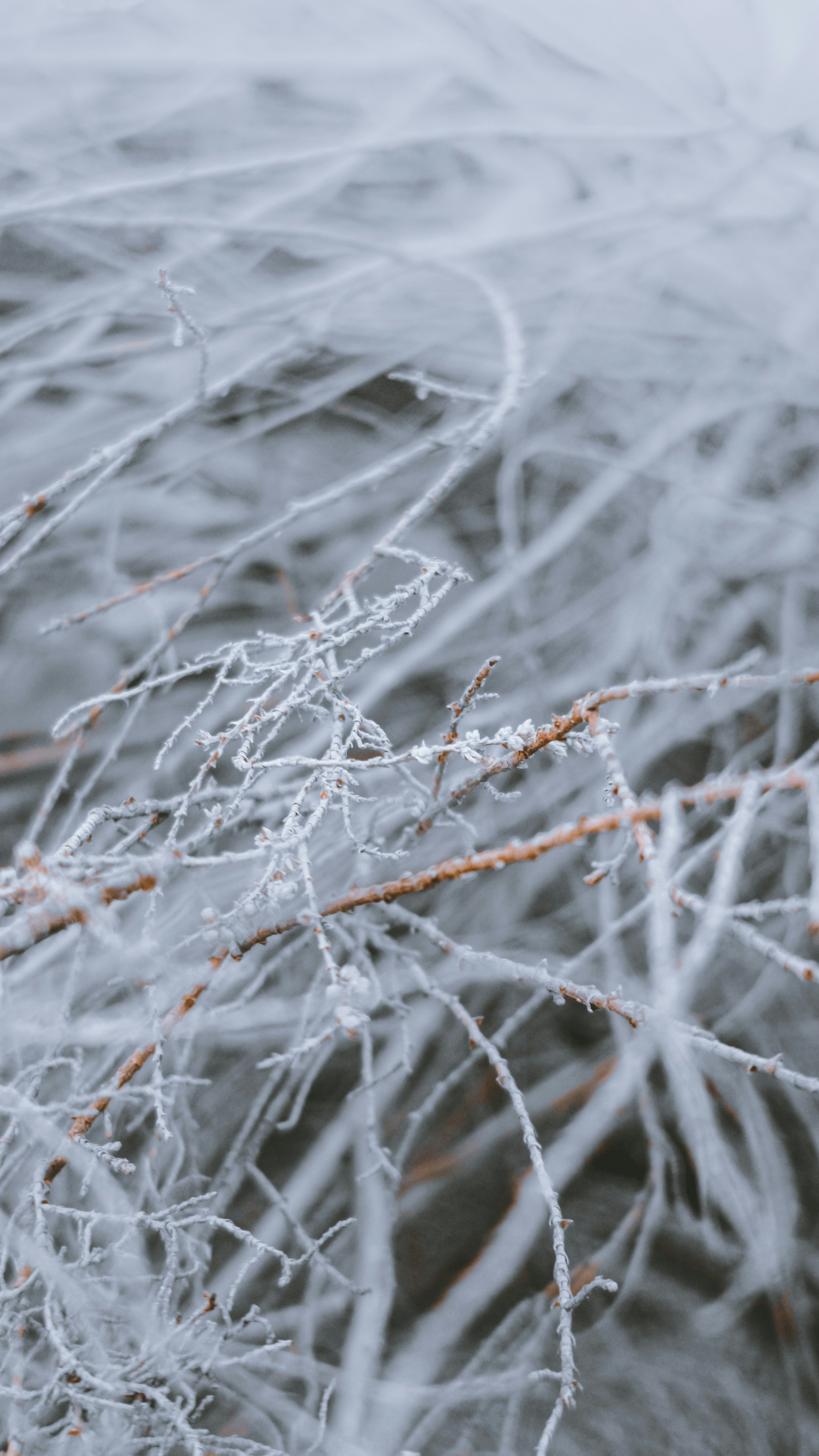 Photo by fukw0314_88