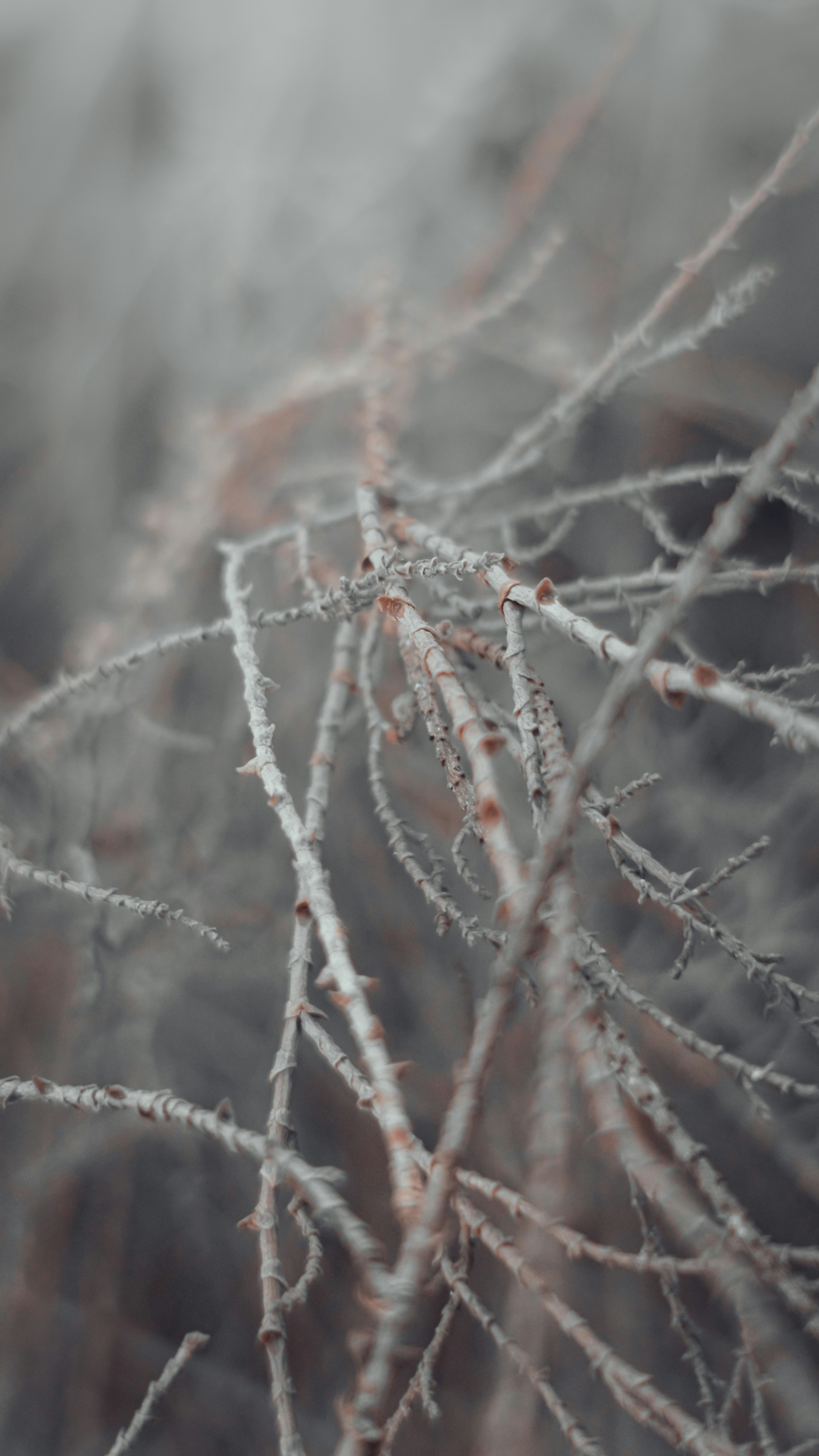 Photo by fukw0314_88