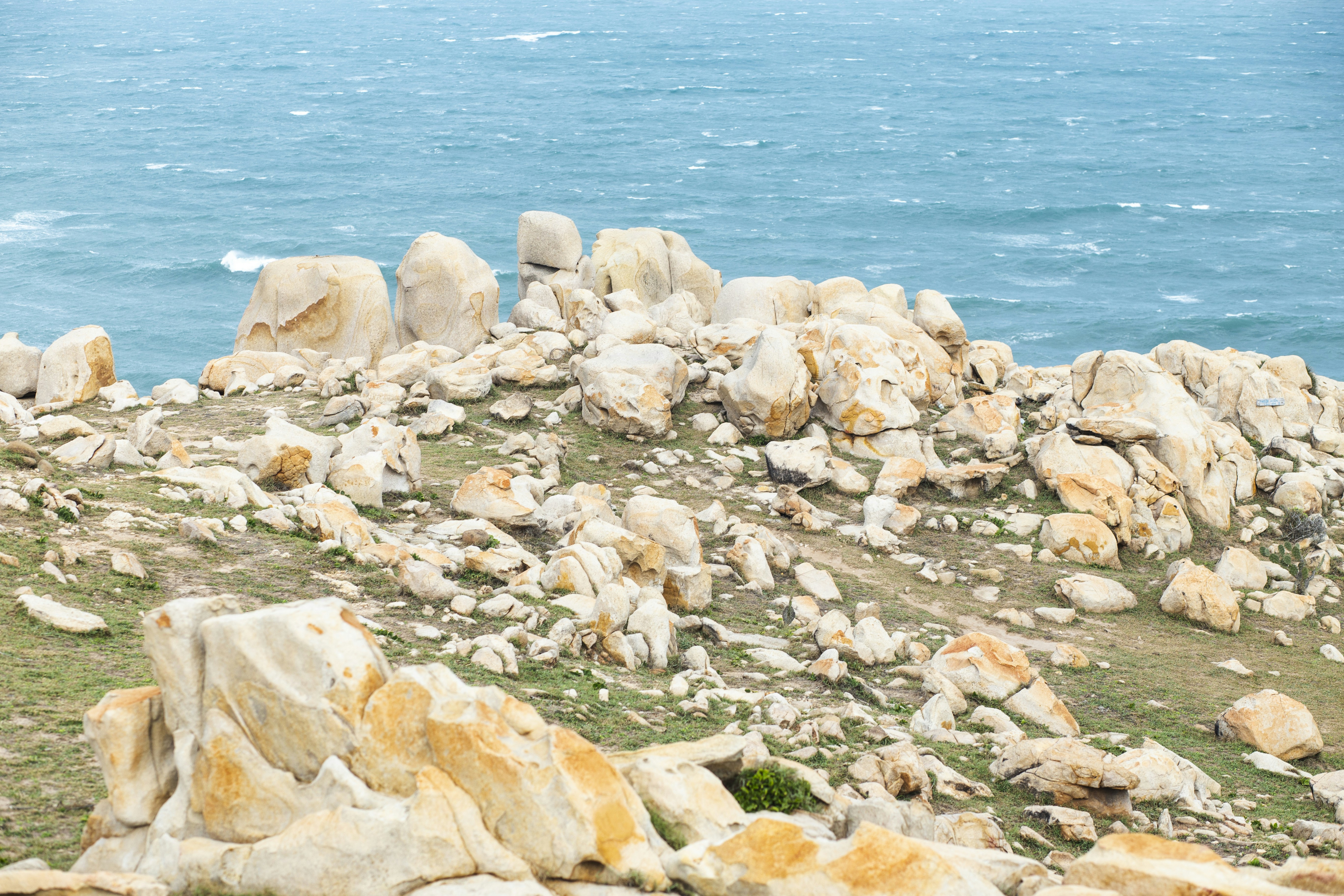 Photo by lexuanlanh2003