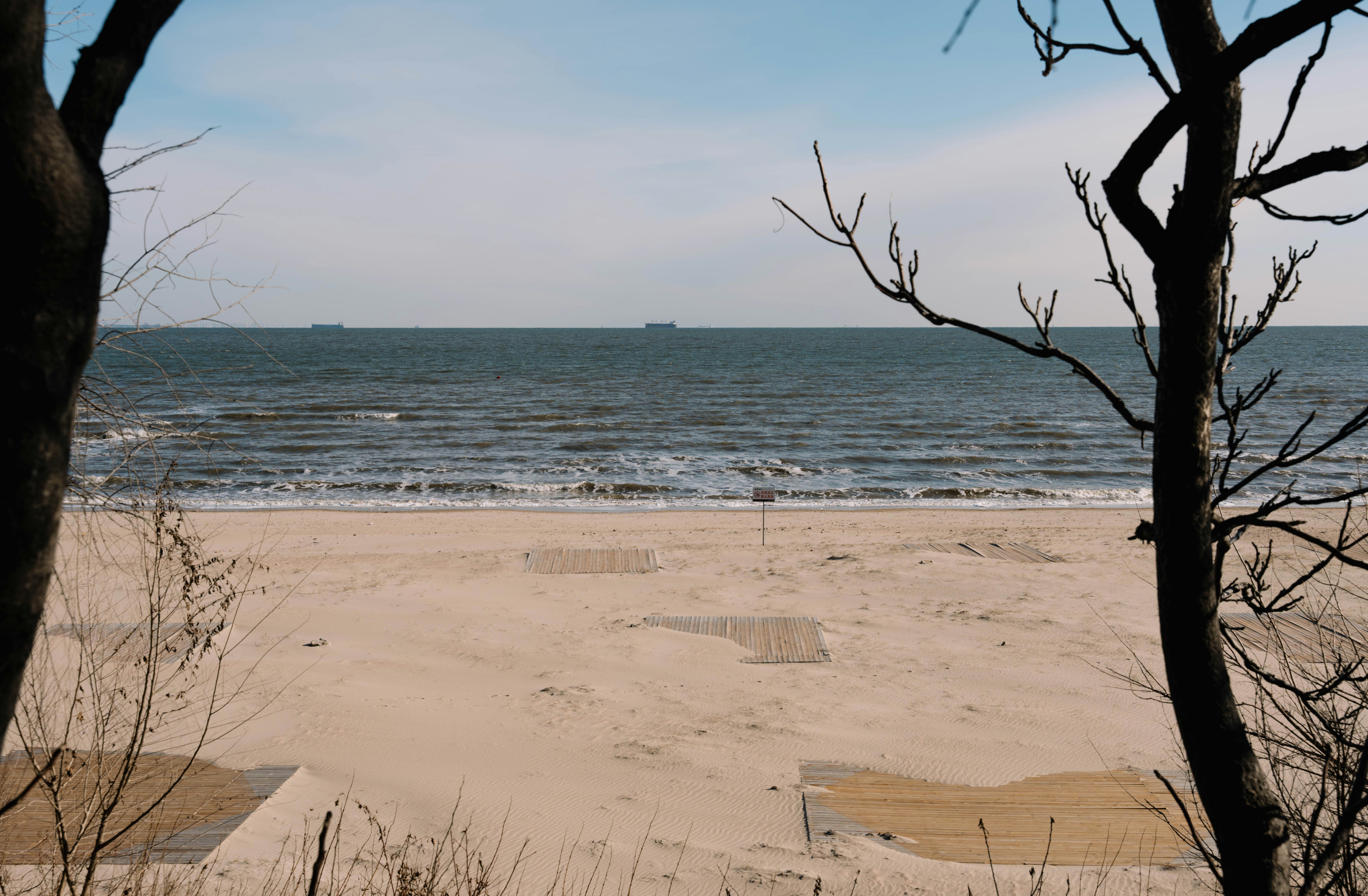 A view of a beach through some trees