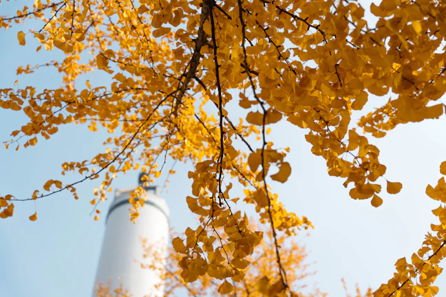 8-Day Eastern Canada & USA Family Autumn Itinerary