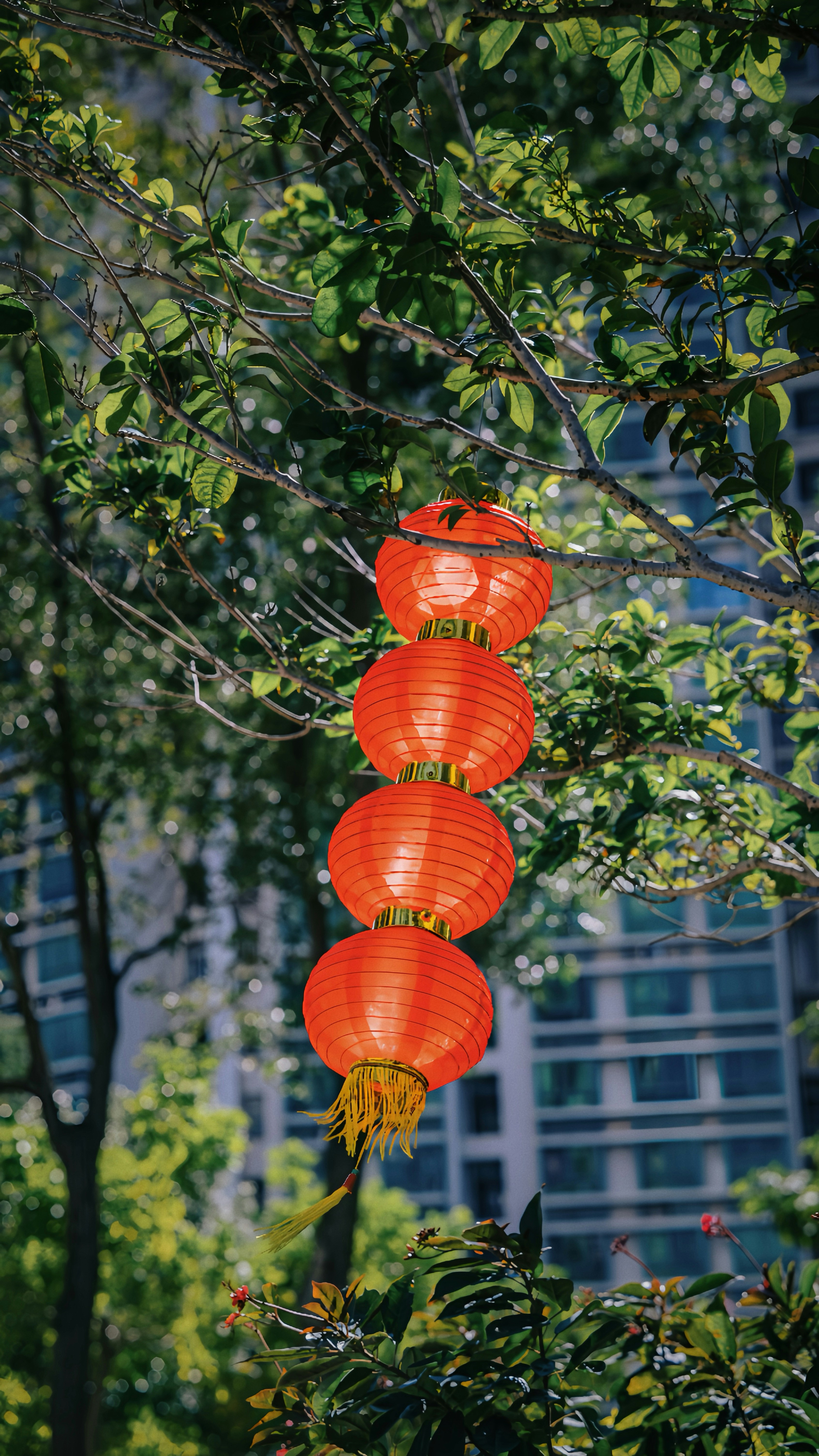 Photo by wangbinghua