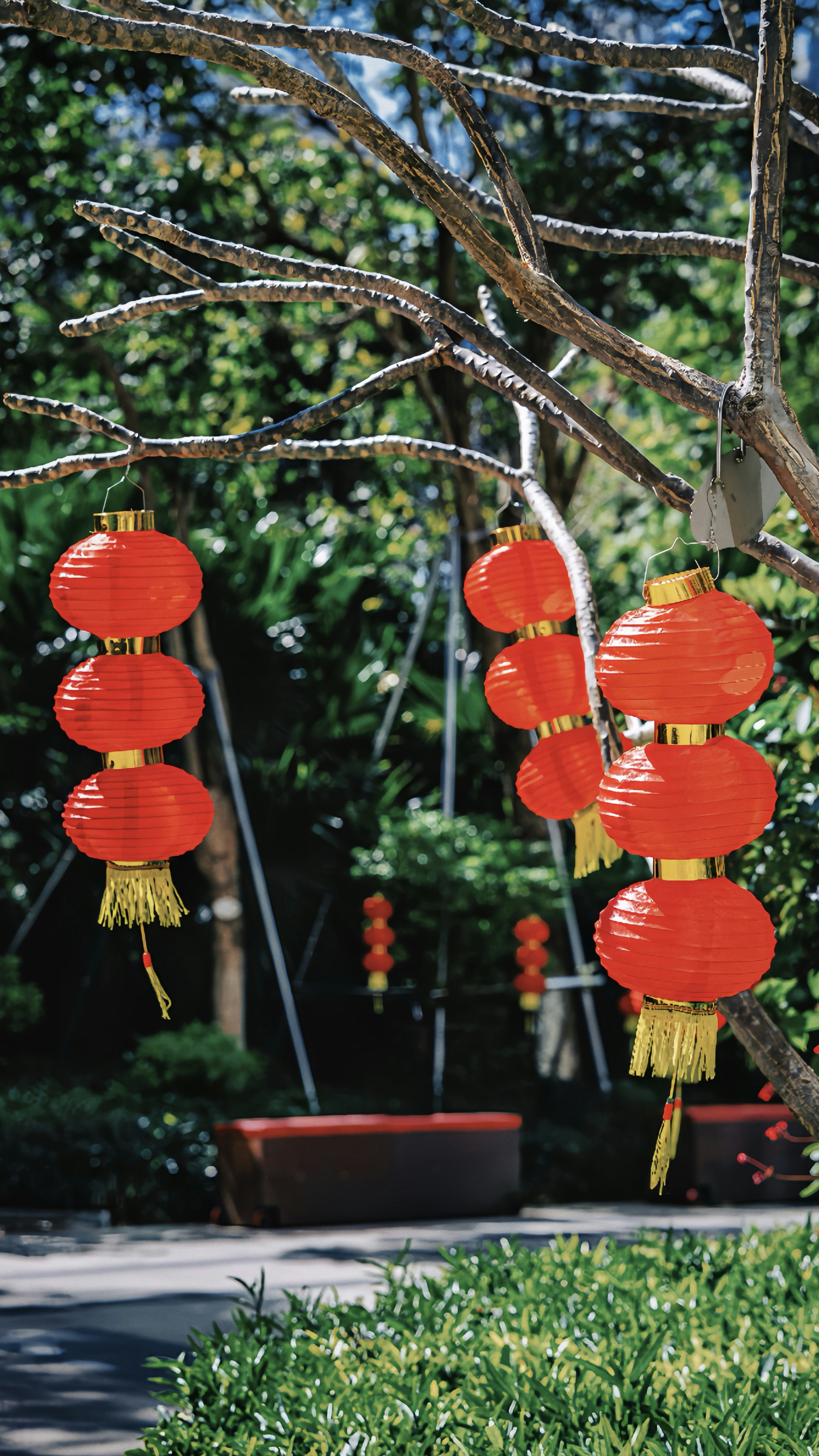 Photo by wangbinghua